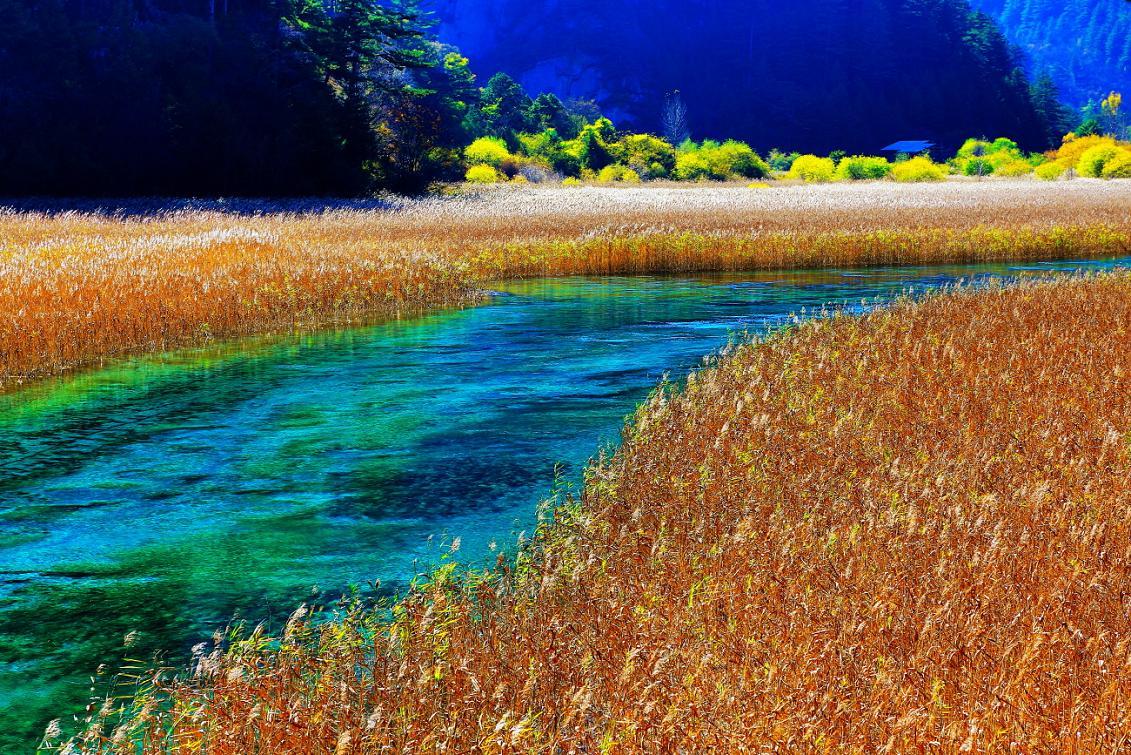 Jiuzhaigou Valley, Autumn 2012, China [1131x755]