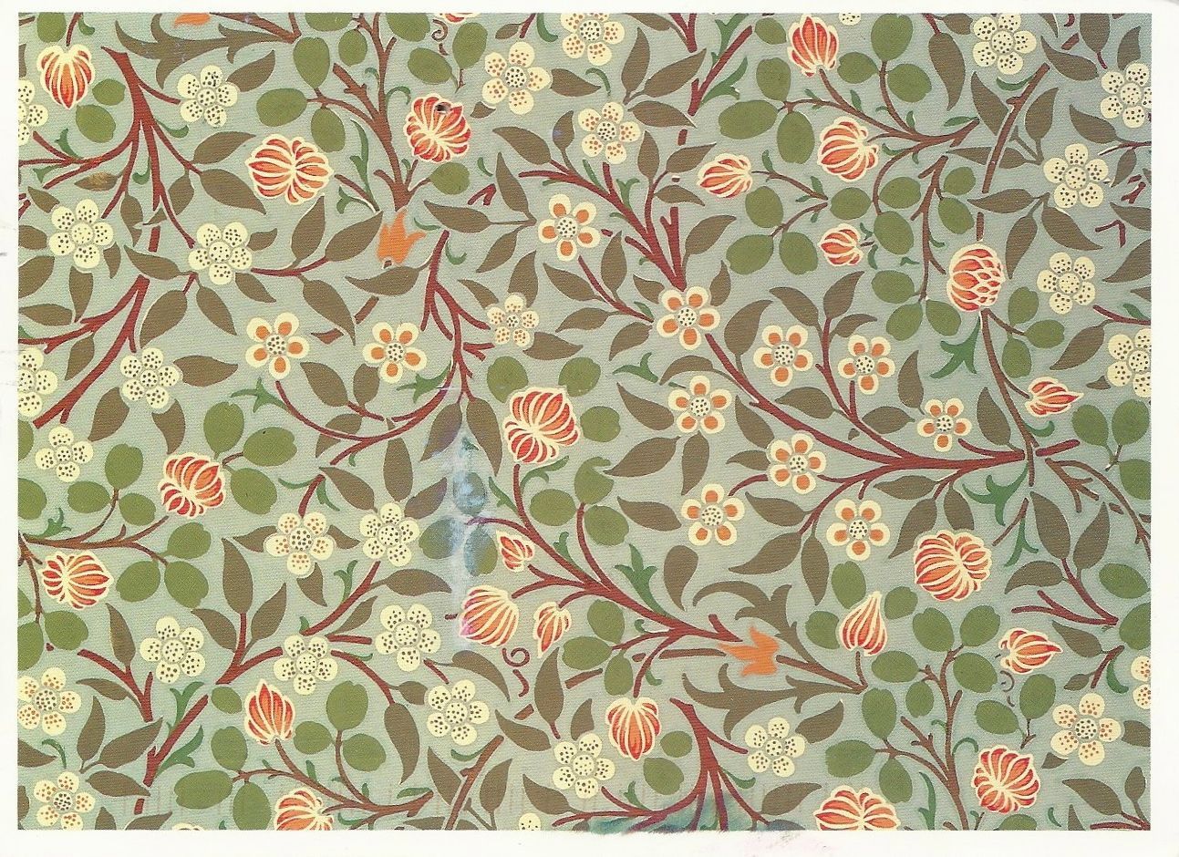 Arts and Crafts Movement- Floral pattern. William morris art, William morris wallpaper, Morris wallpaper