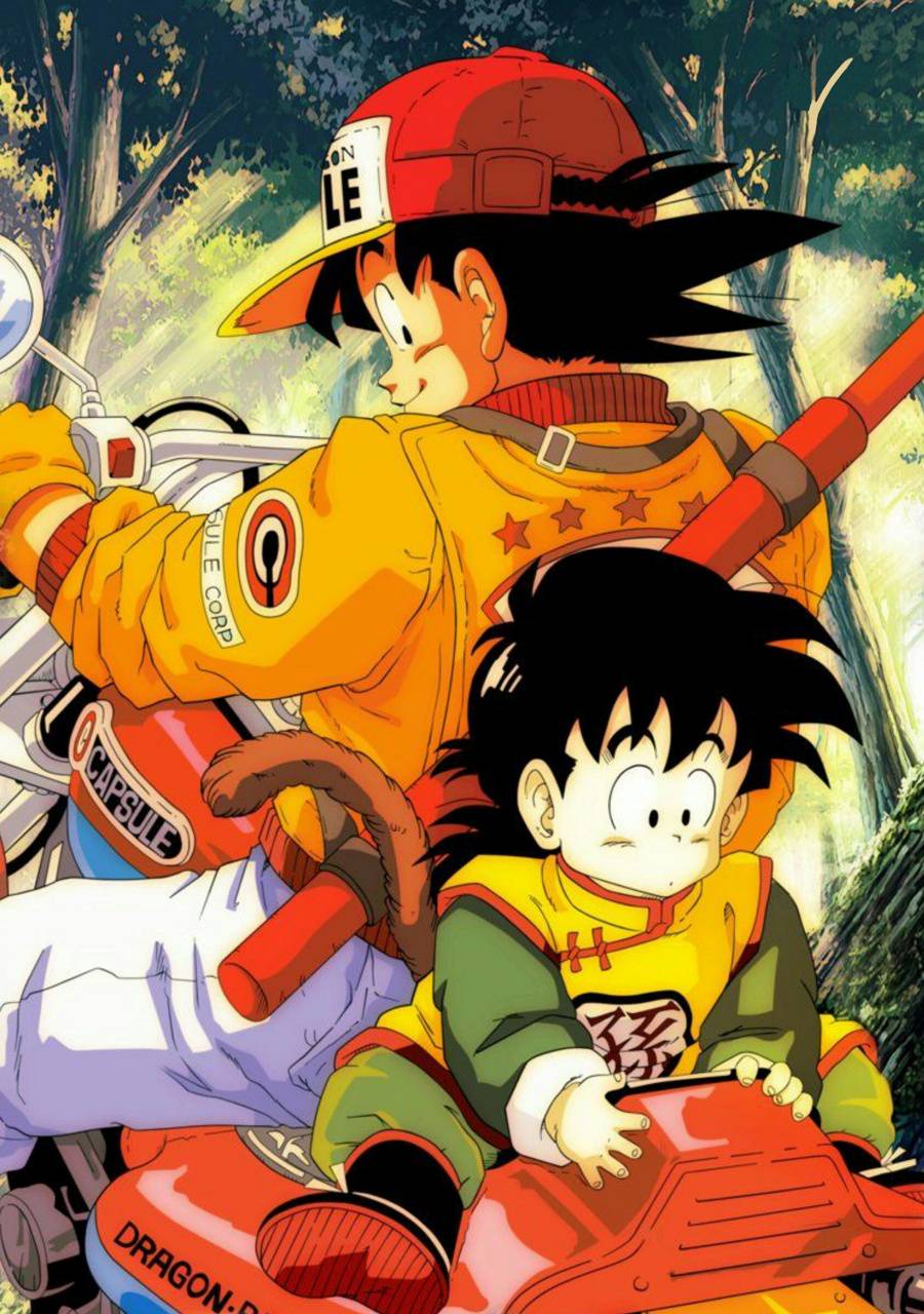 Goku y Gohan wallpaper