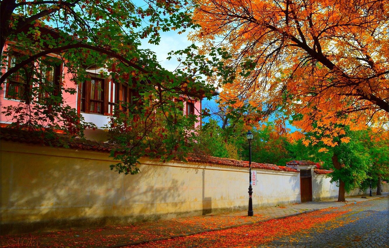 Wallpaper The city, Autumn, House, Street, House, Fall, Autumn, Street, Town image for desktop, section город