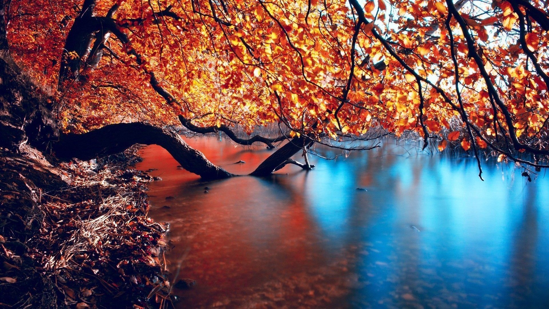 Autumn Lake Nature Wallpaper Background
