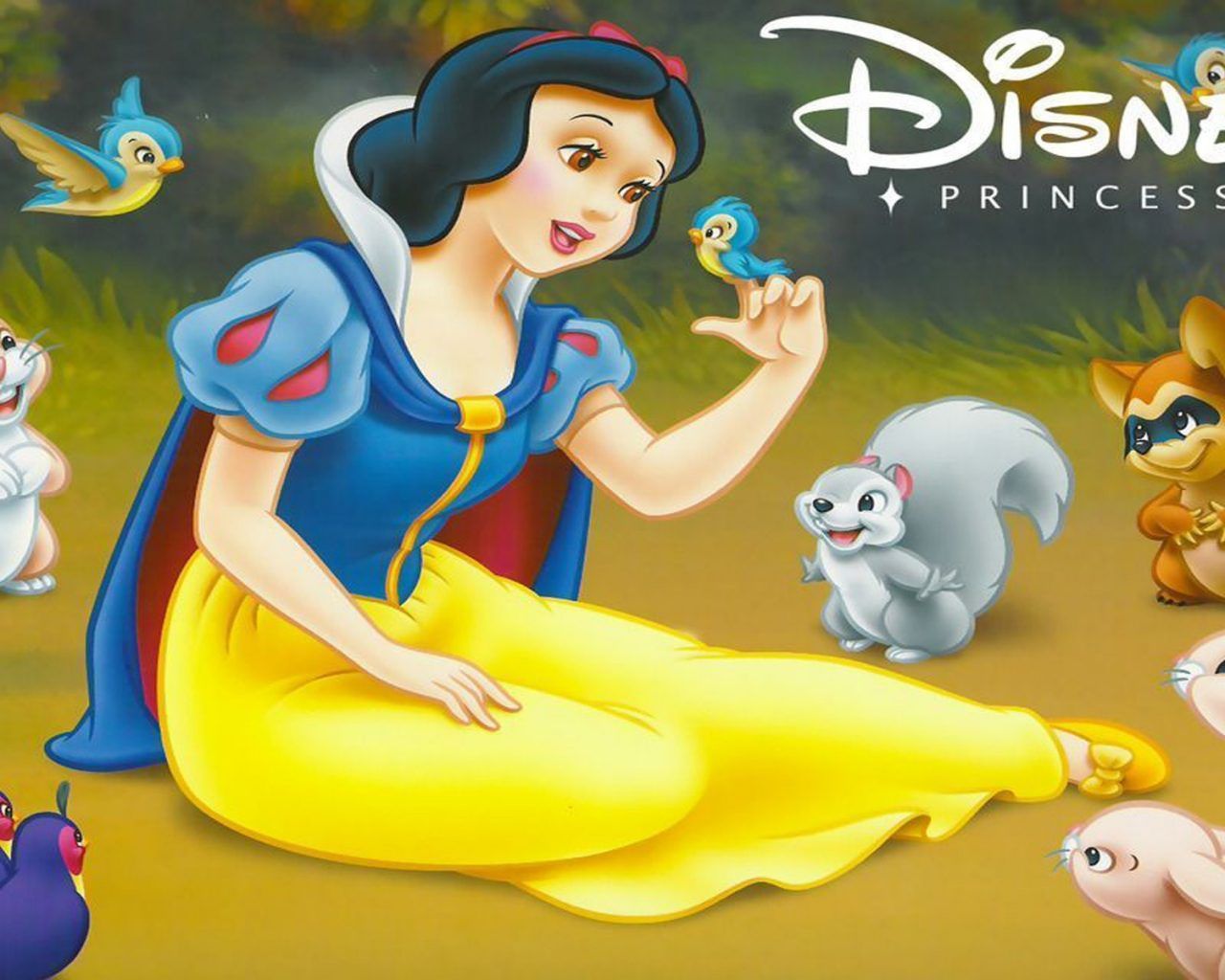 Friends Of Disney Princess Snow White Collection Of Picture Wallpaper HD 1920x1200, Wallpaper13.com