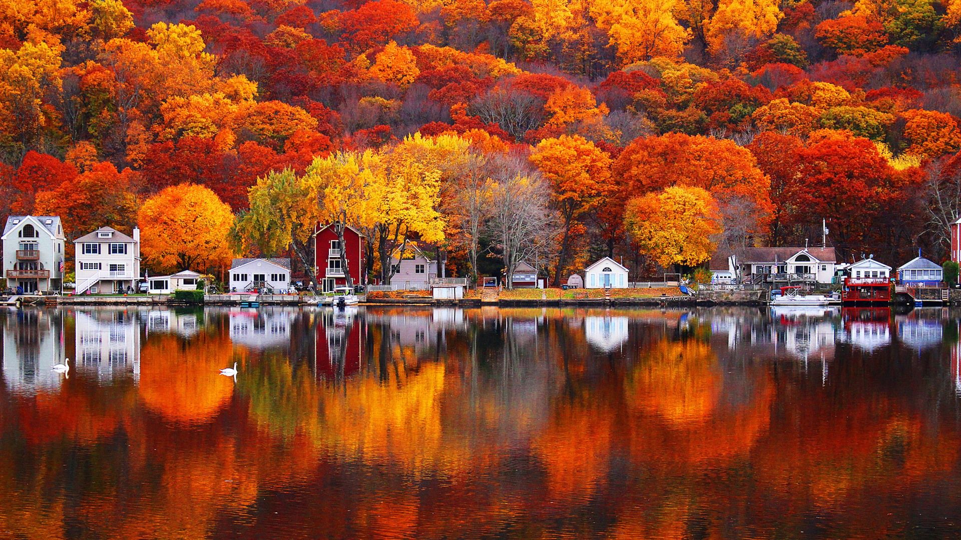Wallpaper Autumn, lake, trees, houses, village, beautiful scenery 1920x1200 HD Picture, Image