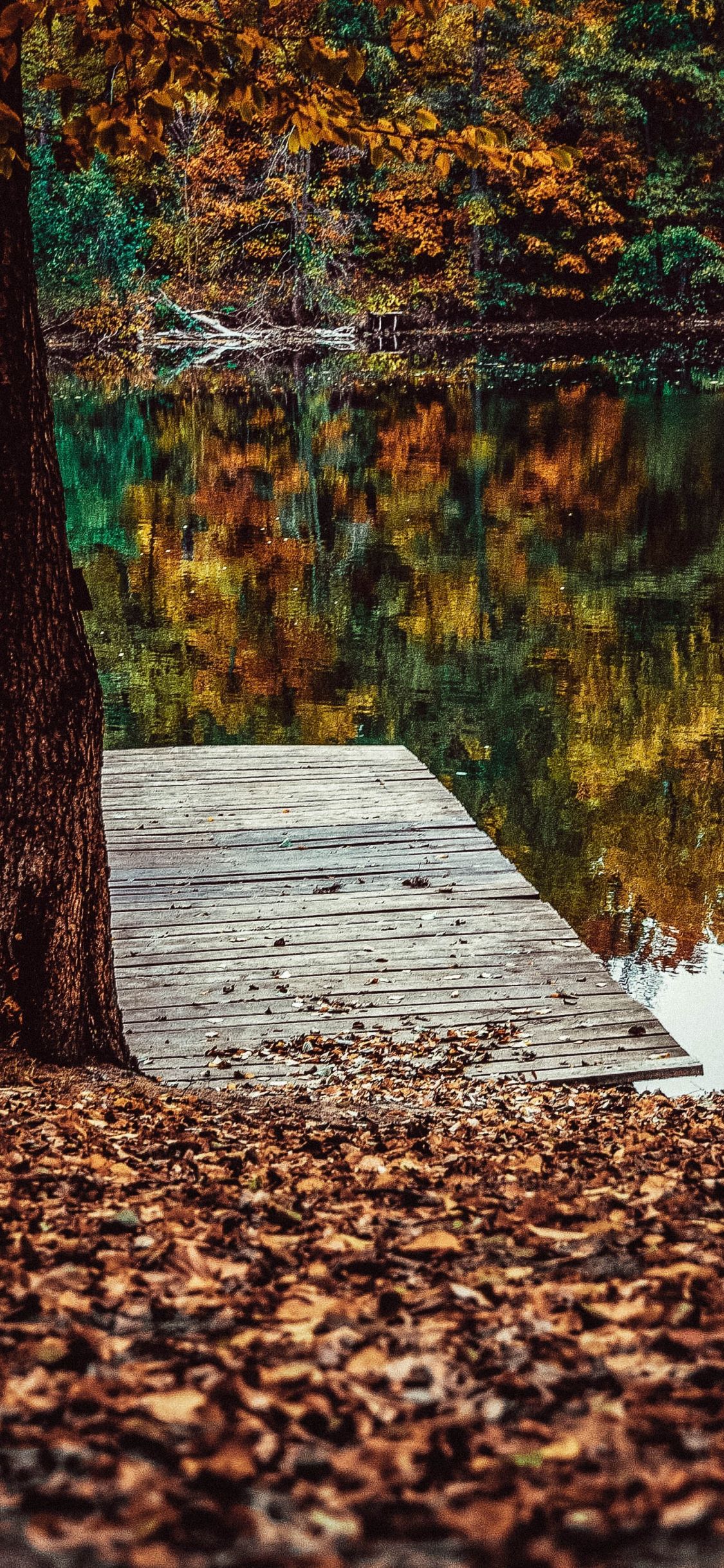 Download 1125x2436 wallpaper pier, lake, fall, leaves, autumn, lake, reflections, iphone x 1125x2436 HD image, background, 15753