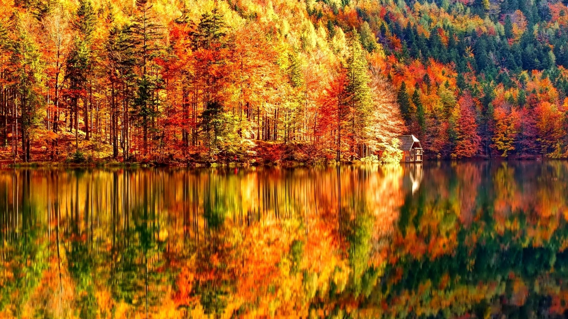 Beautiful Autumn Landscape and forest