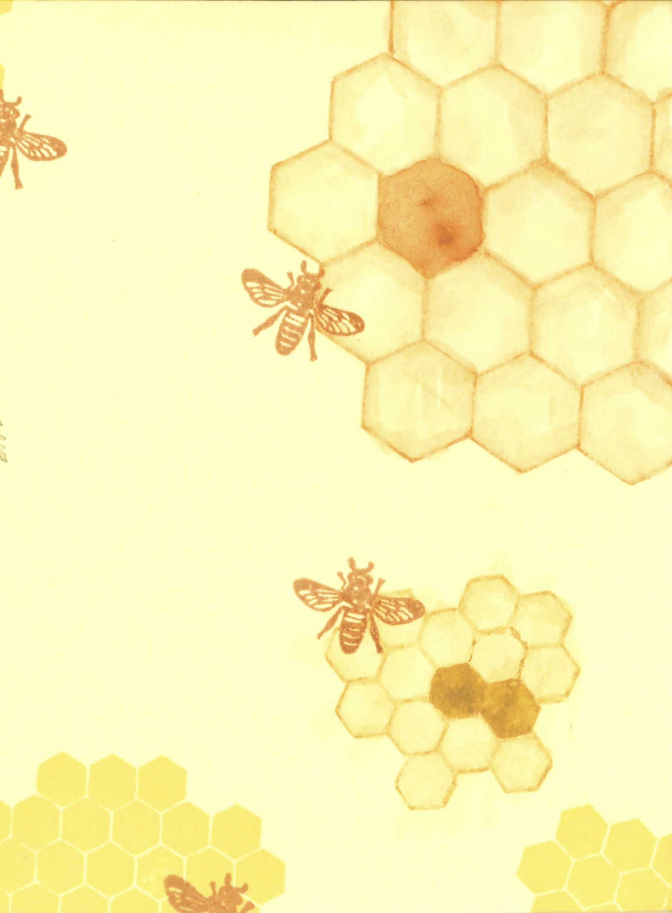 Posts about honeycomb on Curation. Painted hats, Honeycomb, Bee honeycomb