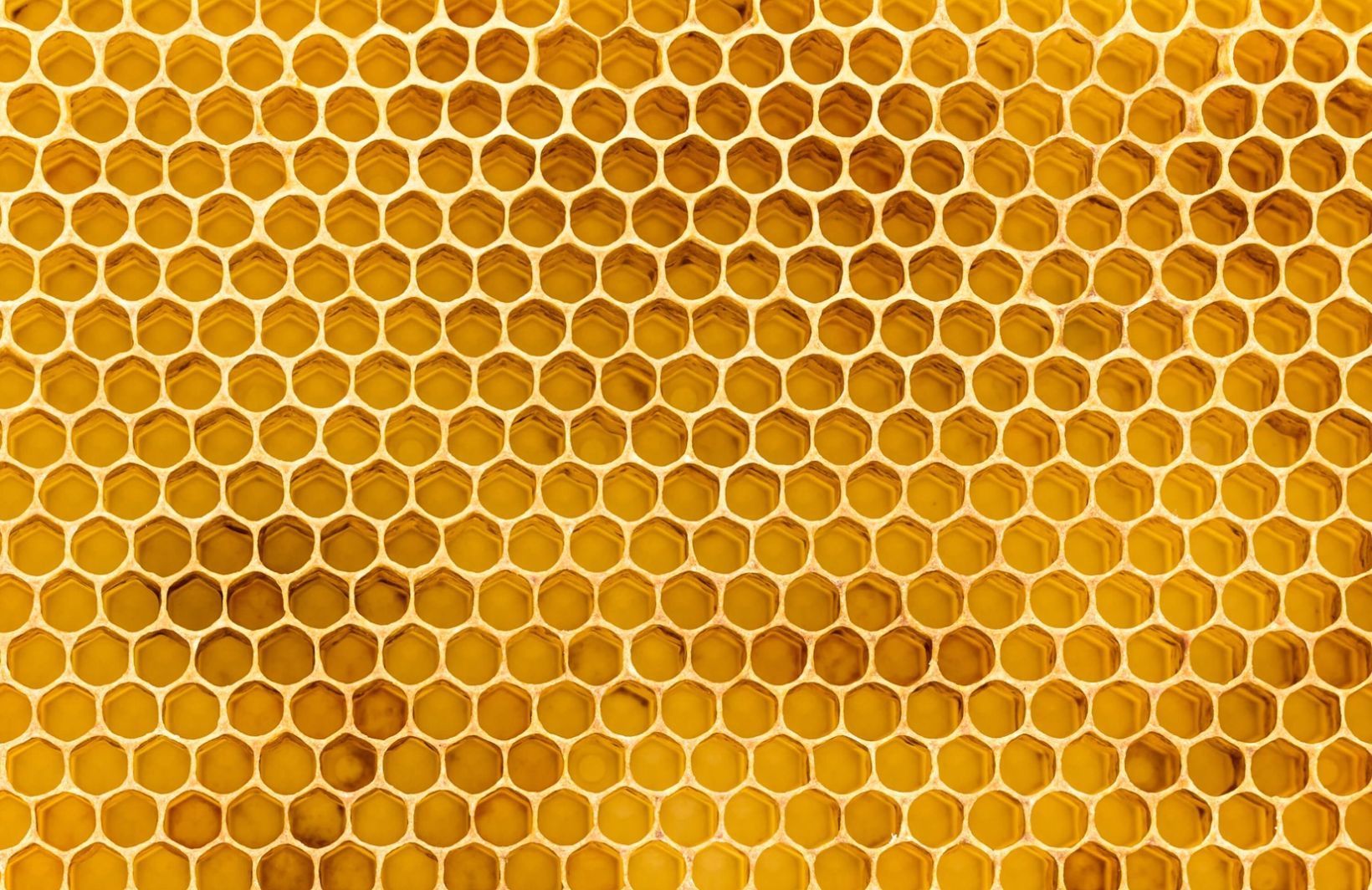 Honeycomb Texture Wallpaper Mural Plain Shop Murals Honeycomb Texture Wallpaper. Honeycomb Wallpaper, Honeycomb, Mural Wallpaper