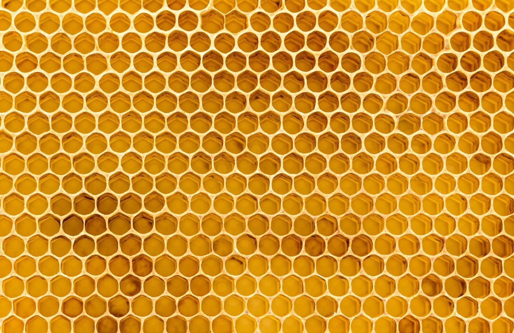 Cute Honeycomb Wallpapers - Wallpaper Cave