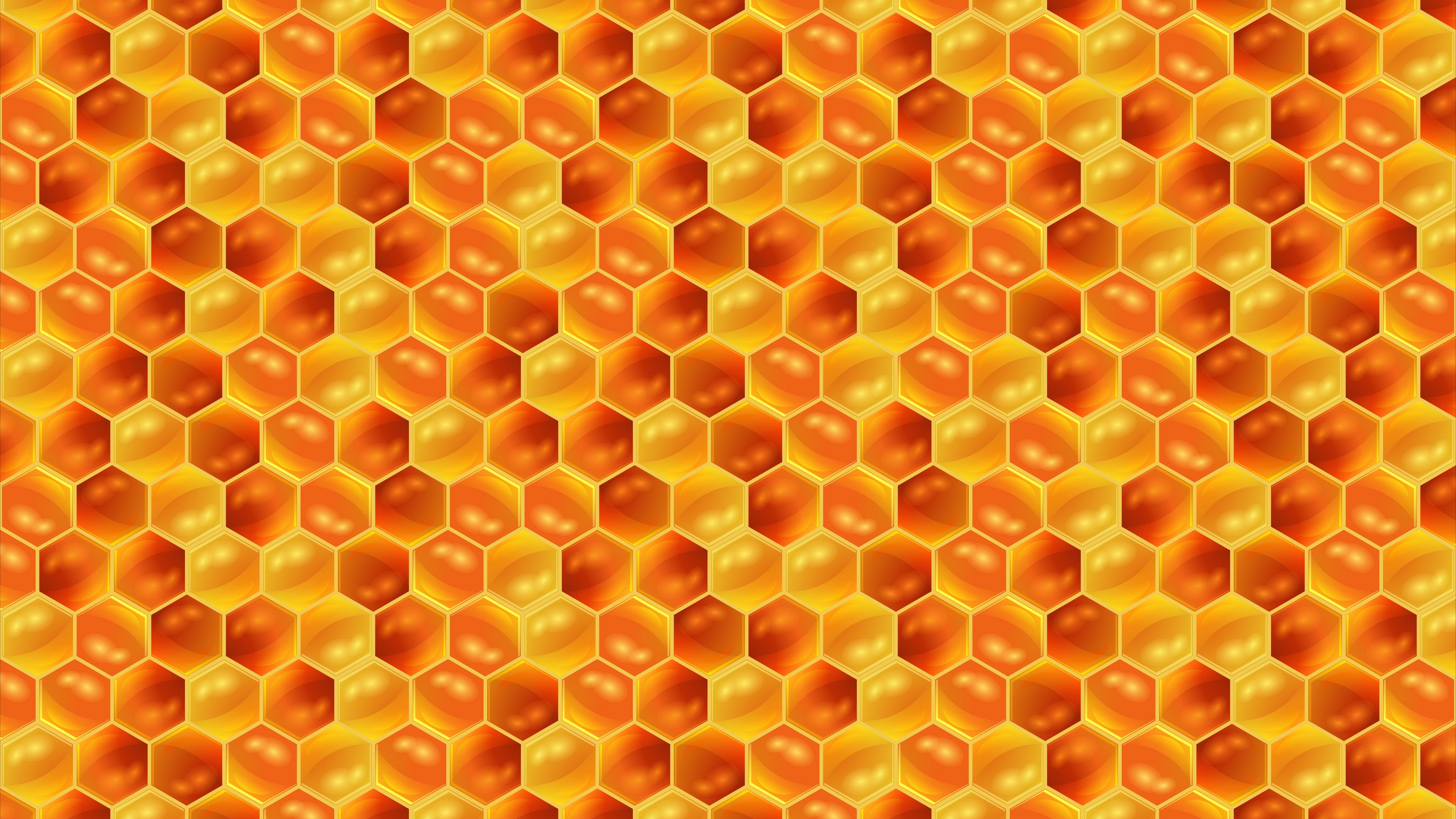 Wallpaper Honeycombs, Honey, Pattern, Texture, Patterns Honey Background HD Wallpaper & Background Download