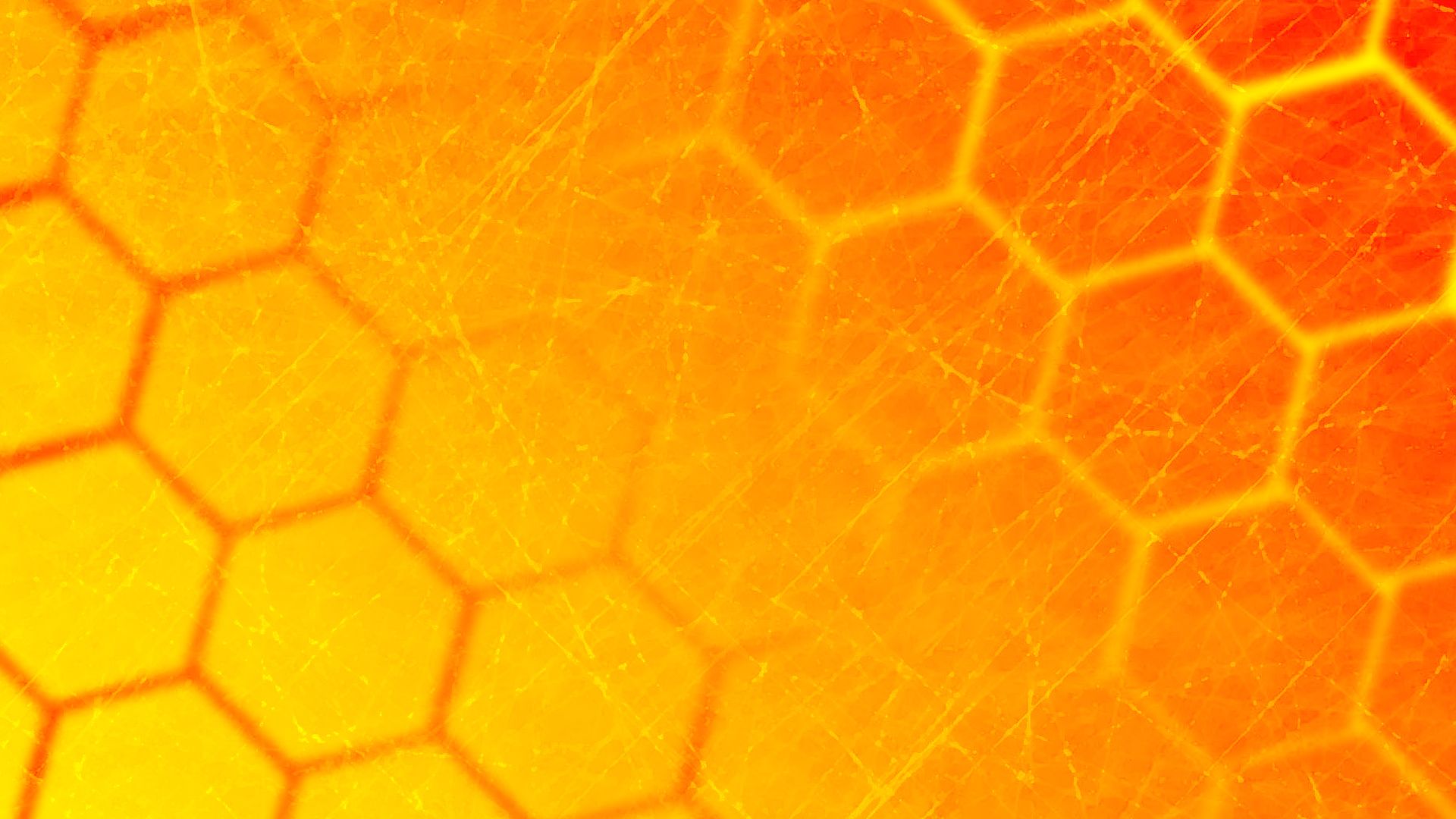 Cute Honeycomb Wallpapers - Wallpaper Cave