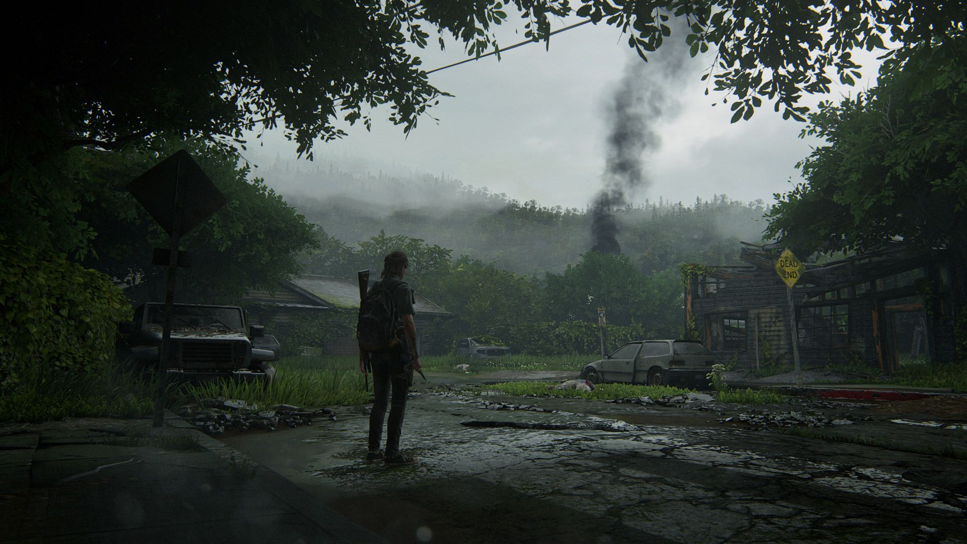 The Last of Us 2 Wallpaper created from the in-game gallery