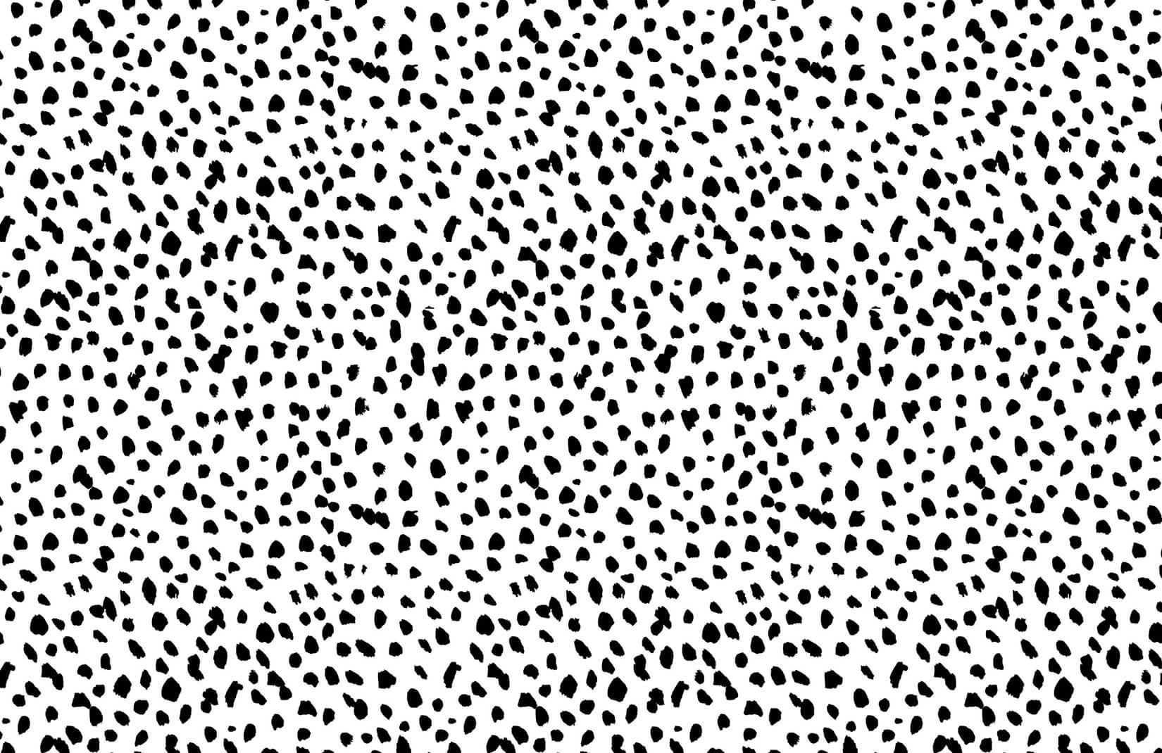 Black & White Dalmatian Print Wallpaper Mural. Hovia. Cheetah print background, Spotty wallpaper, Polka dots wallpaper