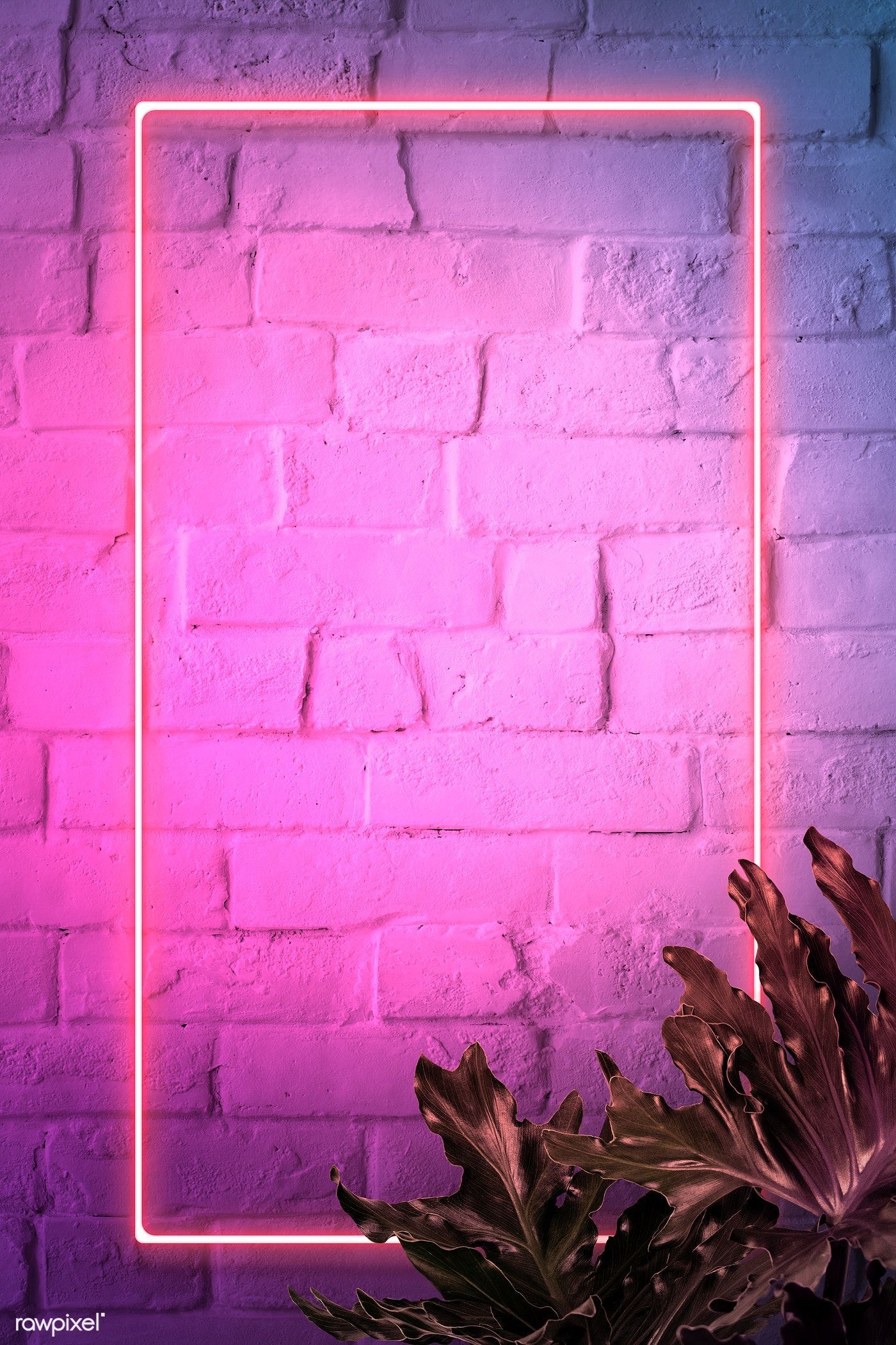 Download premium illustration of Pink neon lights frame on a white brick. Ideias instagram, Fundo para cartao, Ideias de papel de parede