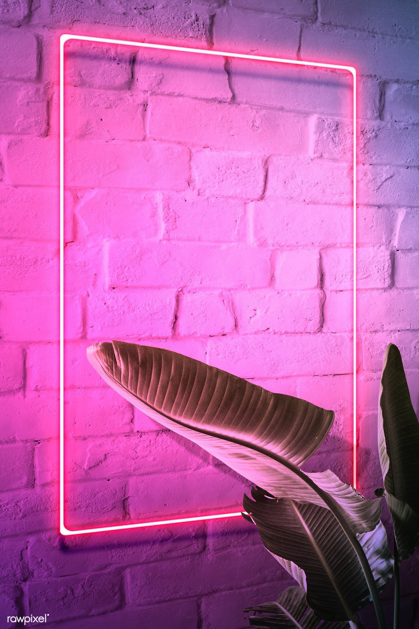 Download premium illustration of Pink neon lights frame on a white brick. Pink neon lights, Pink neon wallpaper, Neon lighting