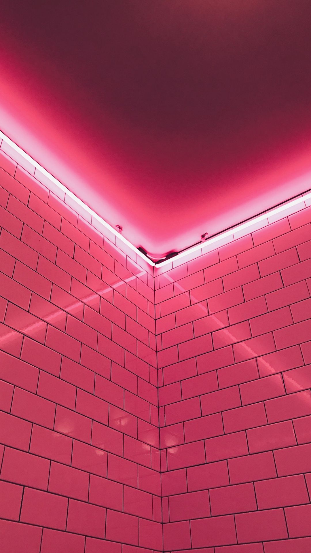 Wallpaper Wall, Light, Pink, Neon