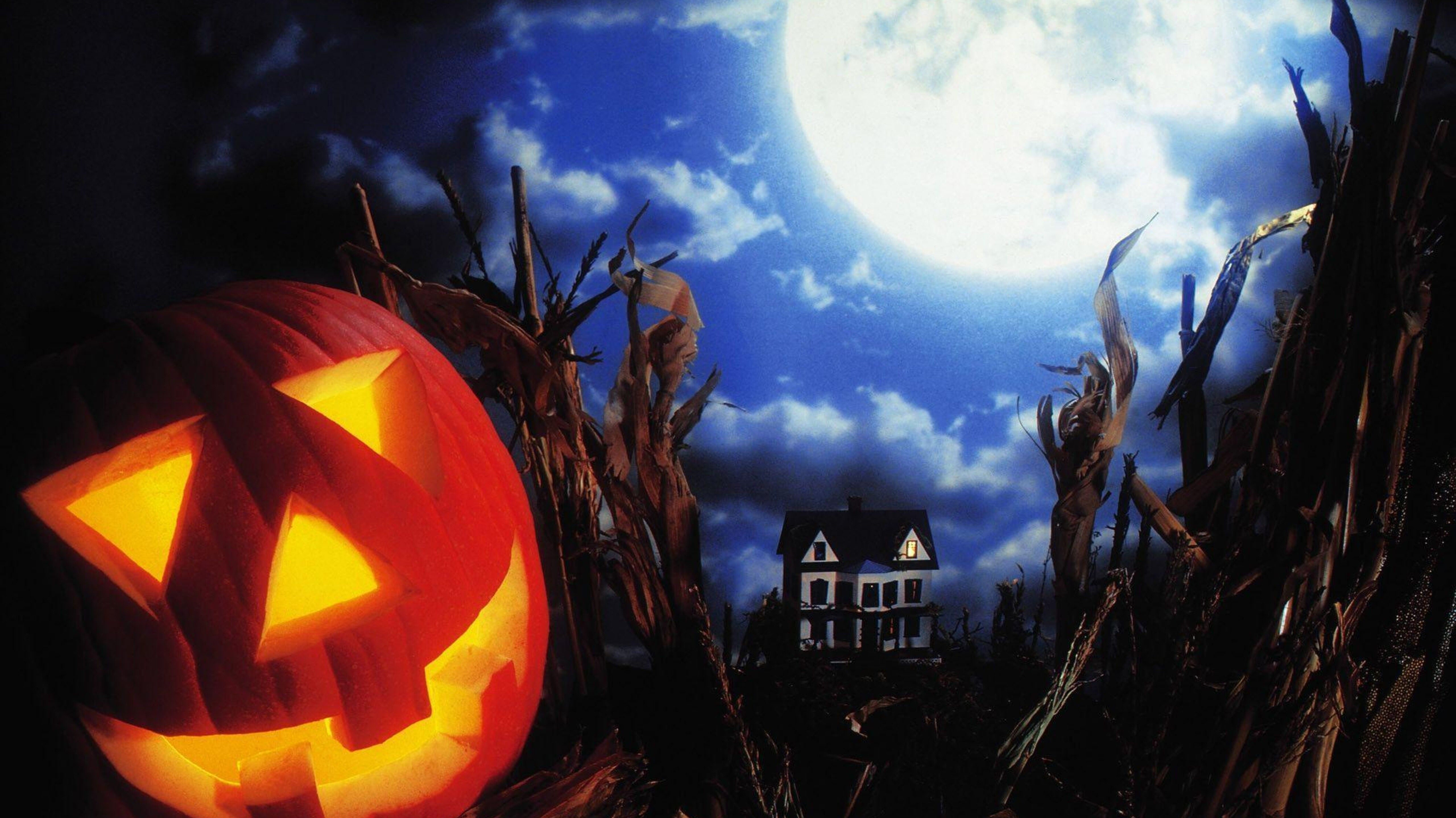 Big moon and scary Halloween pumpkin