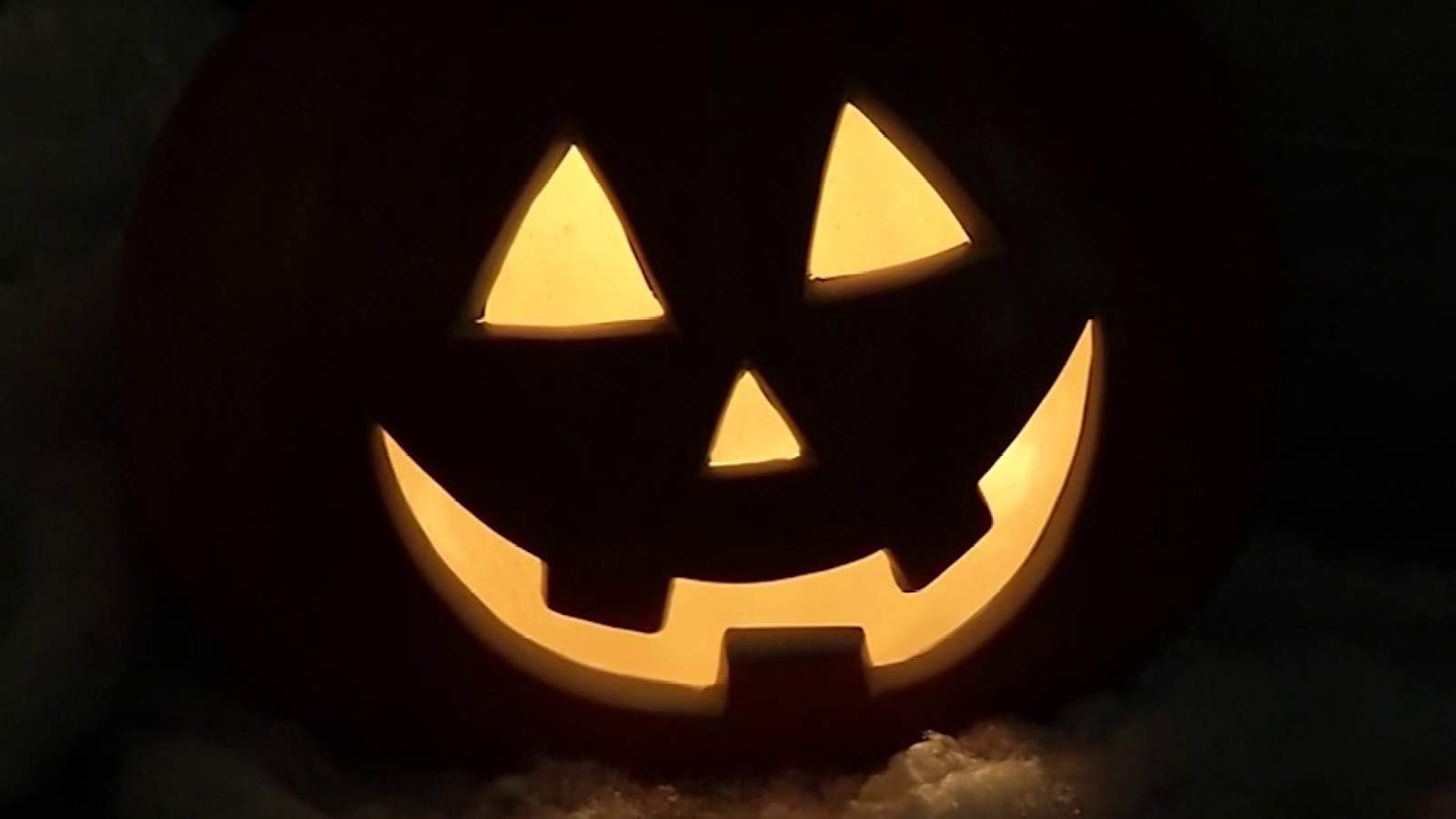 Will You Be Trick Or Treating This Halloween?