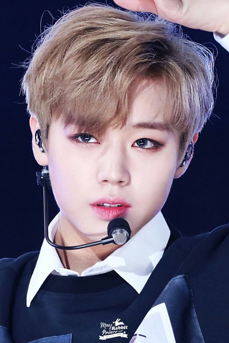 Free download 258 best Park JiHoon image Park Parks and [736x1104] for your Desktop, Mobile & Tablet. Explore Park Jihoon Wallpaper. Park Jihoon Wallpaper, Park Wallpaper, Jurassic Park Wallpaper