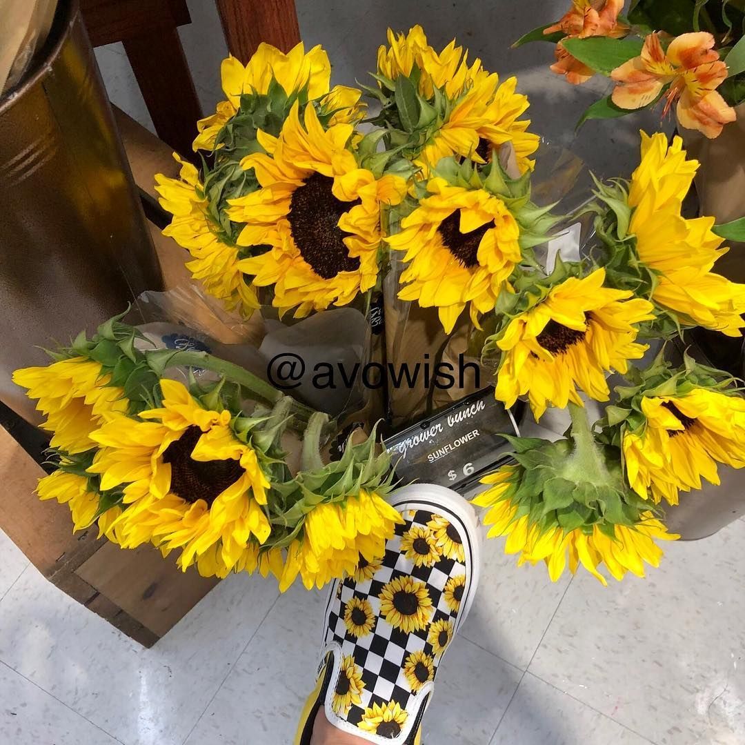 i love my new shoes!!! also hi my names sarah and this is my new photography account #customvans #vans #sunflo. Sunflower vans shoes, Sunflower vans, Yellow vans