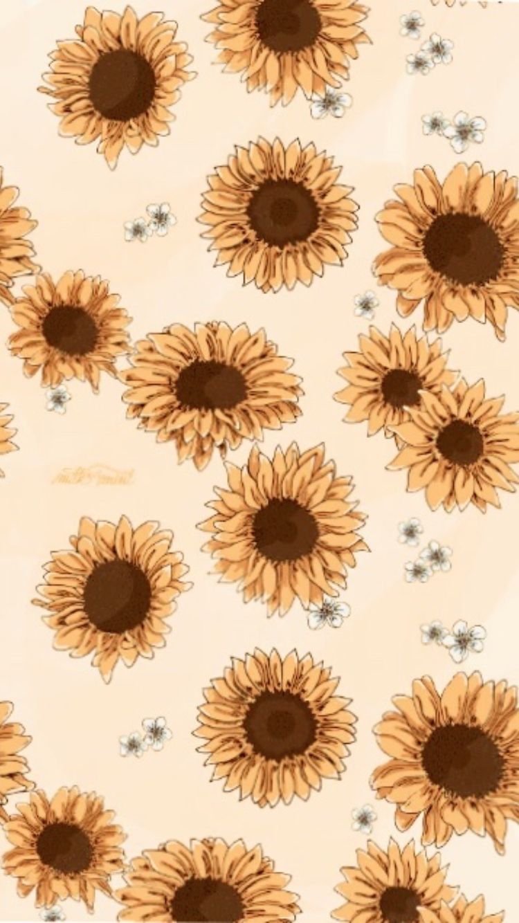 Wallpaper. Sunflower iphone wallpaper, Sunflower wallpaper, iPhone wallpaper vsco