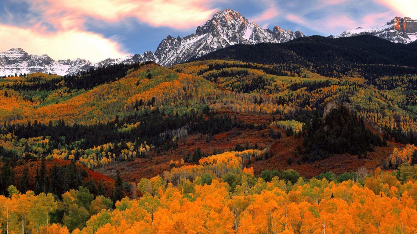 Fall Colors in Autumn < Nature < Life < Desktop Wallpaper