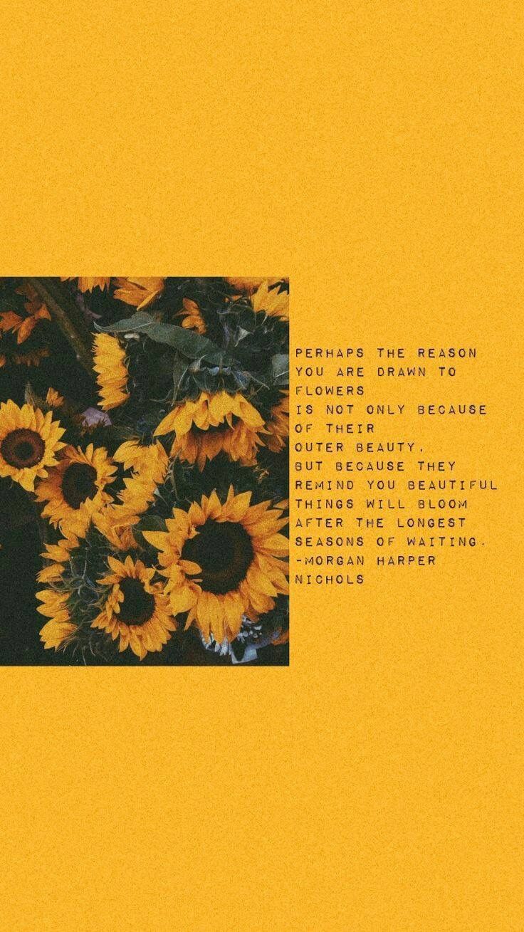 quotes. Yellow quotes, Wallpaper quotes, Sunflower quotes