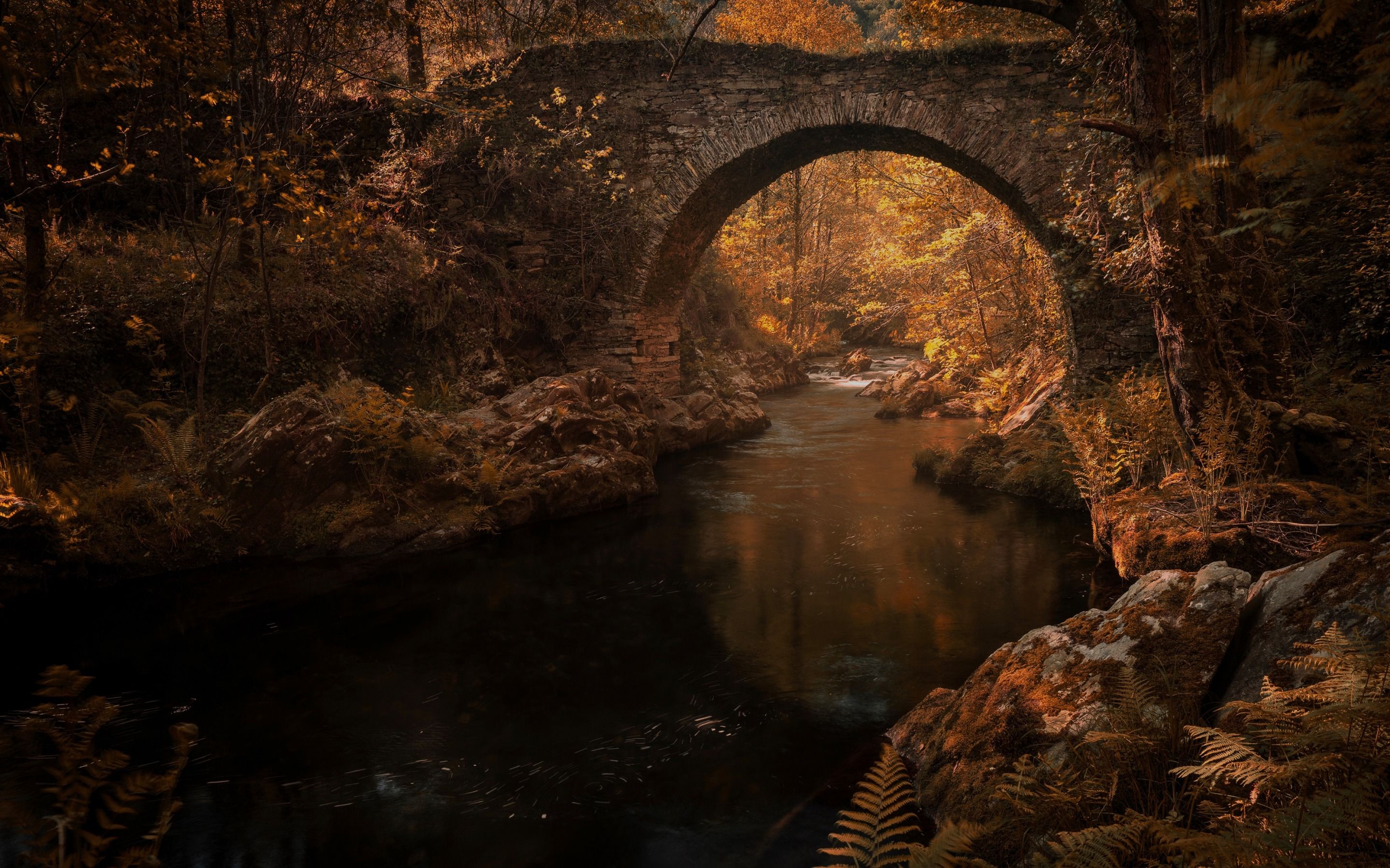 Download wallpaper old stone bridge, autumn, river, forest, autumn landscape for desktop with resolution 2880x1800. High Quality HD picture wallpaper
