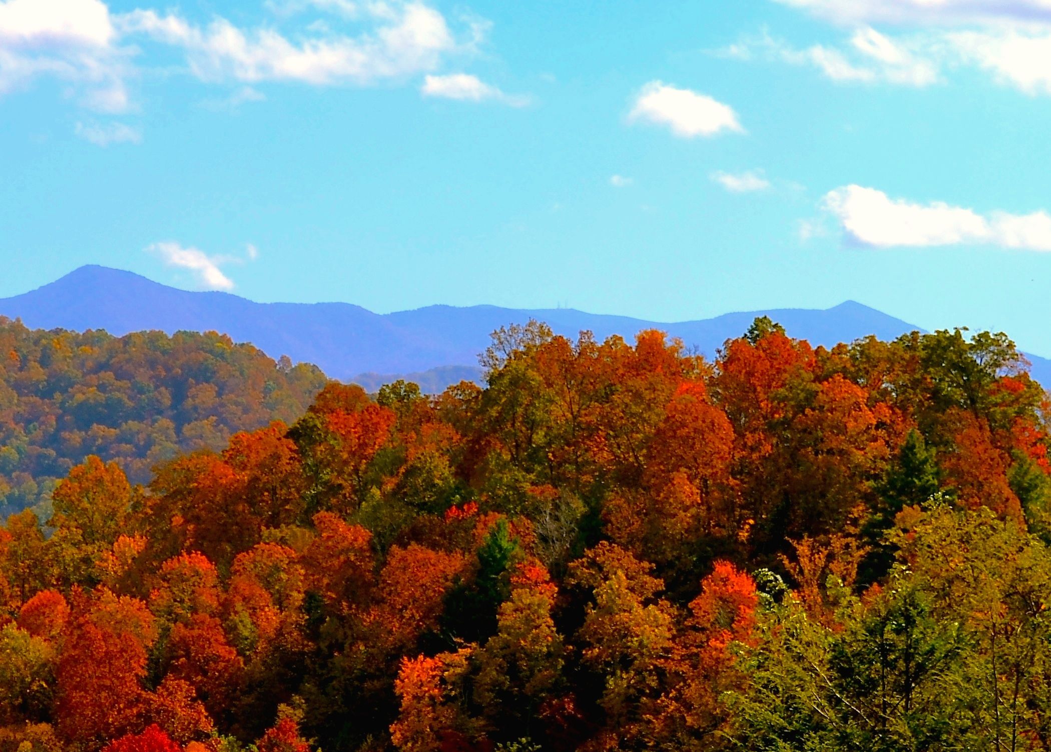 Free Mountain Autumn Wallpaper