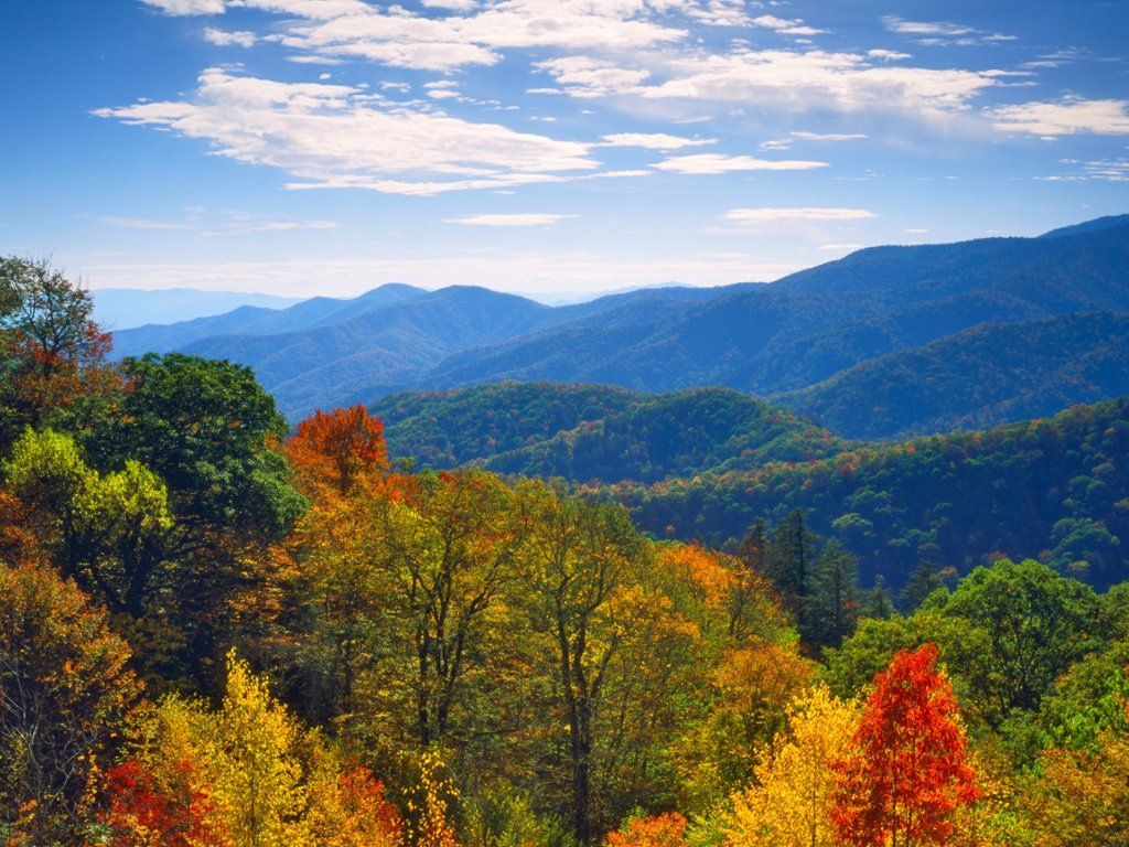 First Fall Colors, Newfound Gap, North Carolina. Fall colors, Great smoky mountains national park, Free fall wallpaper