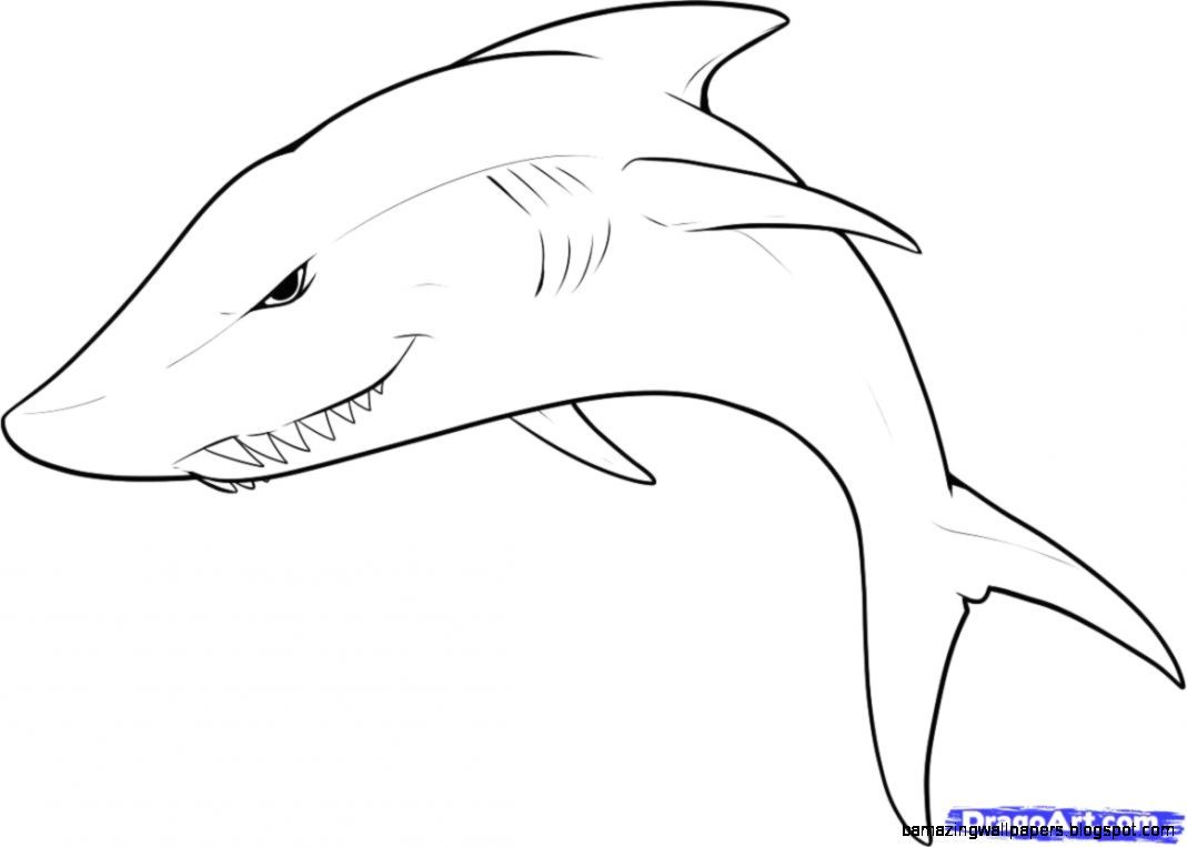 Easy Drawings Of Animals