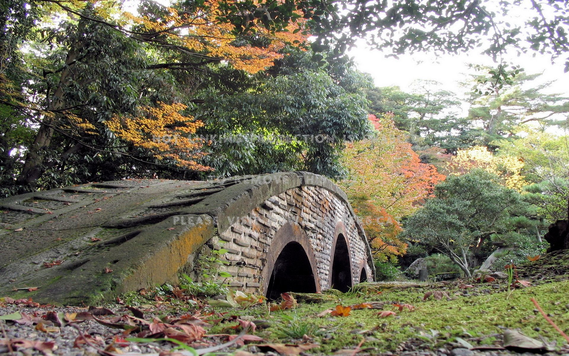stone bridge forest architecture autumn