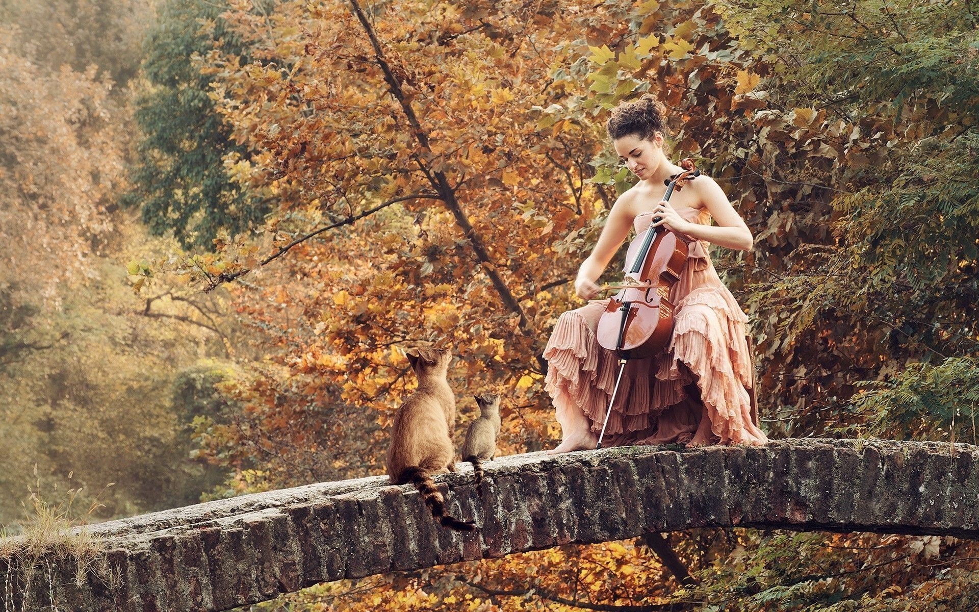 Download wallpaper girl, autumn, stone bridge, cello for desktop with resolution 1920x1200. High Quality HD picture wallpaper