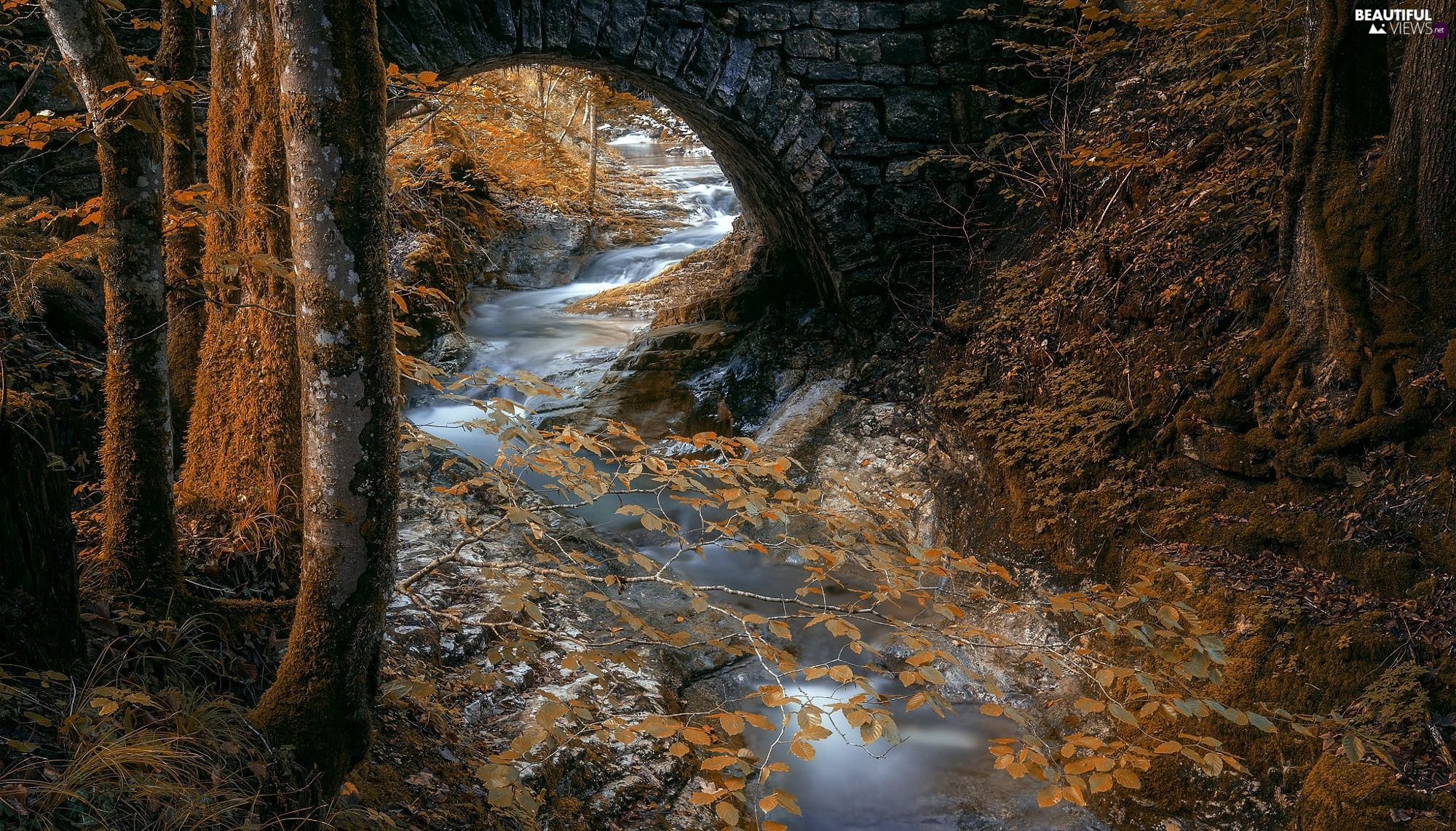 stone, bridge, forest, River, autumn views wallpaper: 2000x1142