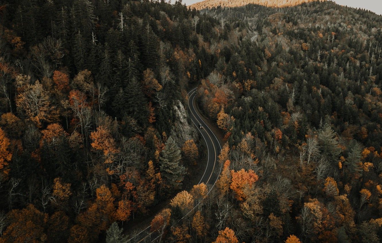 Wallpaper car, USA, forest, road, trees, nature, autumn, landscapes, height, movement, aerial view, 4k uhd background, Blue Ridge Mountains image for desktop, section пейзажи