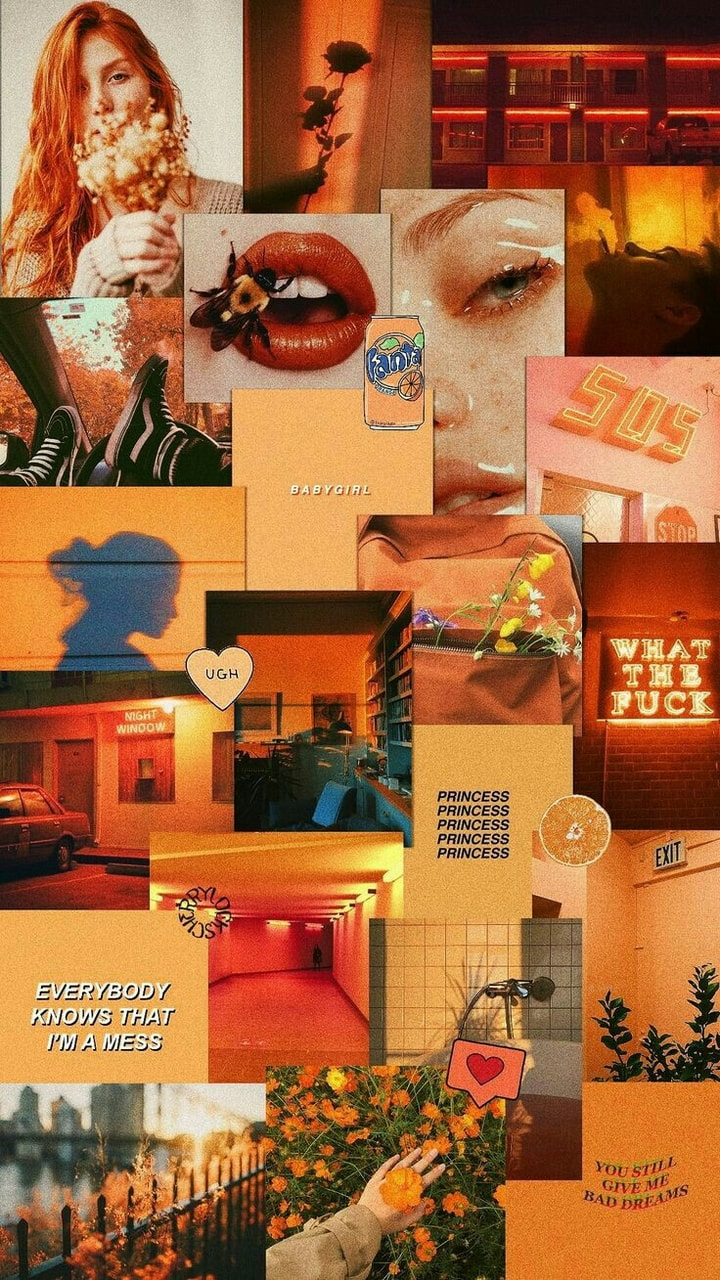 wallpaper, collage, fonds and orange