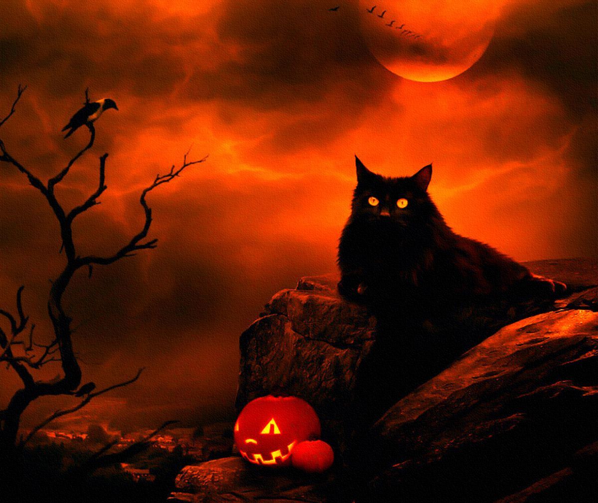 Halloween Cat Moon Night Clouds Crow Black. Halloween picture, Halloween cat, Halloween painting