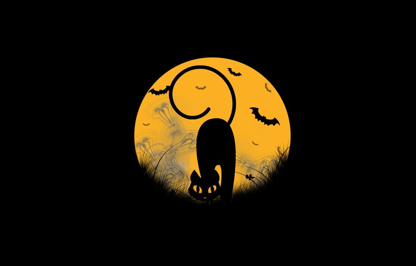 Wallpaper cat, the moon, ghosts, Halloween, mouse image for desktop, section разное