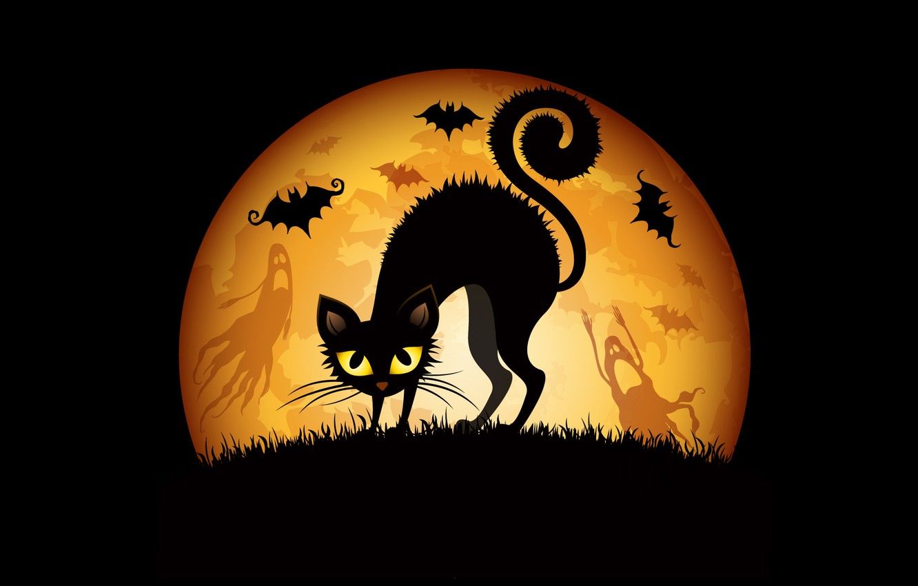 Wallpaper cat, grass, The moon, Halloween, Halloween, ghosts, bats image for desktop, section праздники