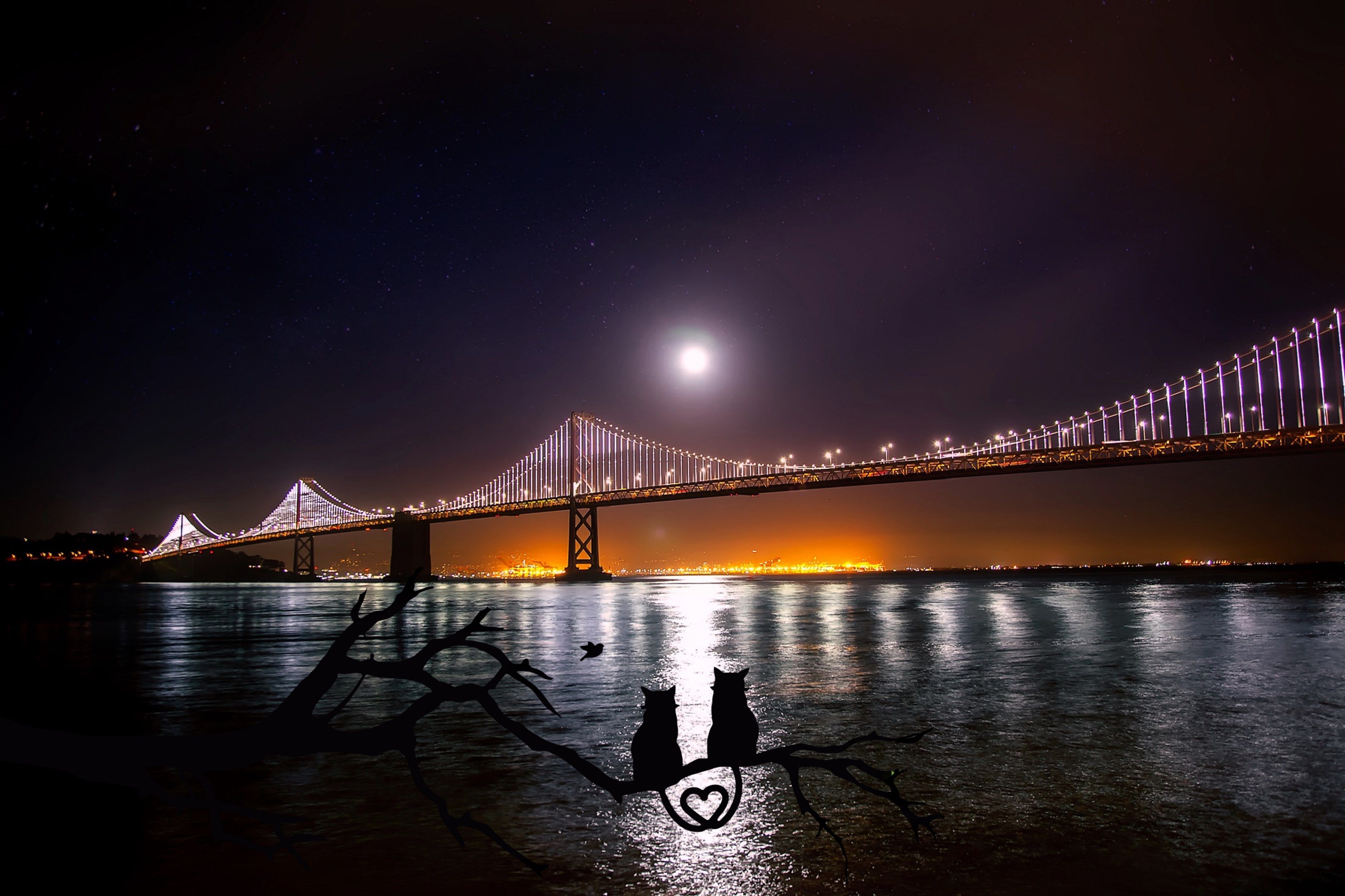 Wallpaper / san francisco oakland bay bridge water reflections 4k wallpaper