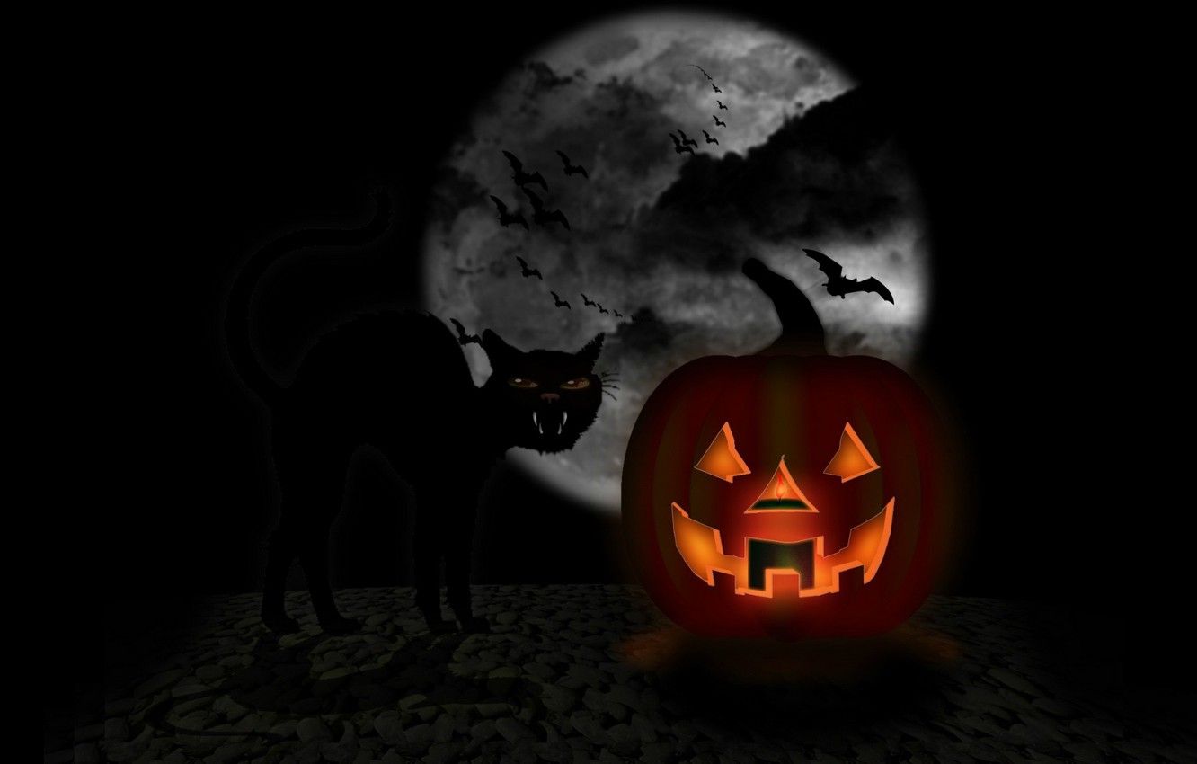 Wallpaper darkness, mouth, bat, the full moon, black cat, Happy Halloween, Jack image for desktop, section праздники