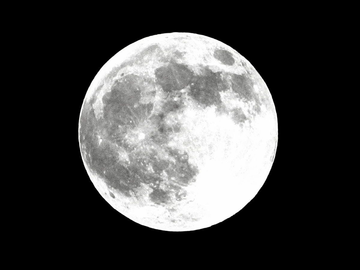 Flower with Moon Wallpaper Free Download. This 3D HD Wallpaper online portal certainly tops one among the funny wallpa. Super moon, Supermoon eclipse, Moon facts