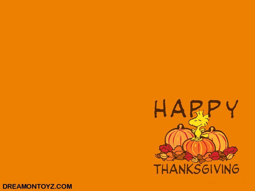 Free Funny Thanksgiving Wallpaper