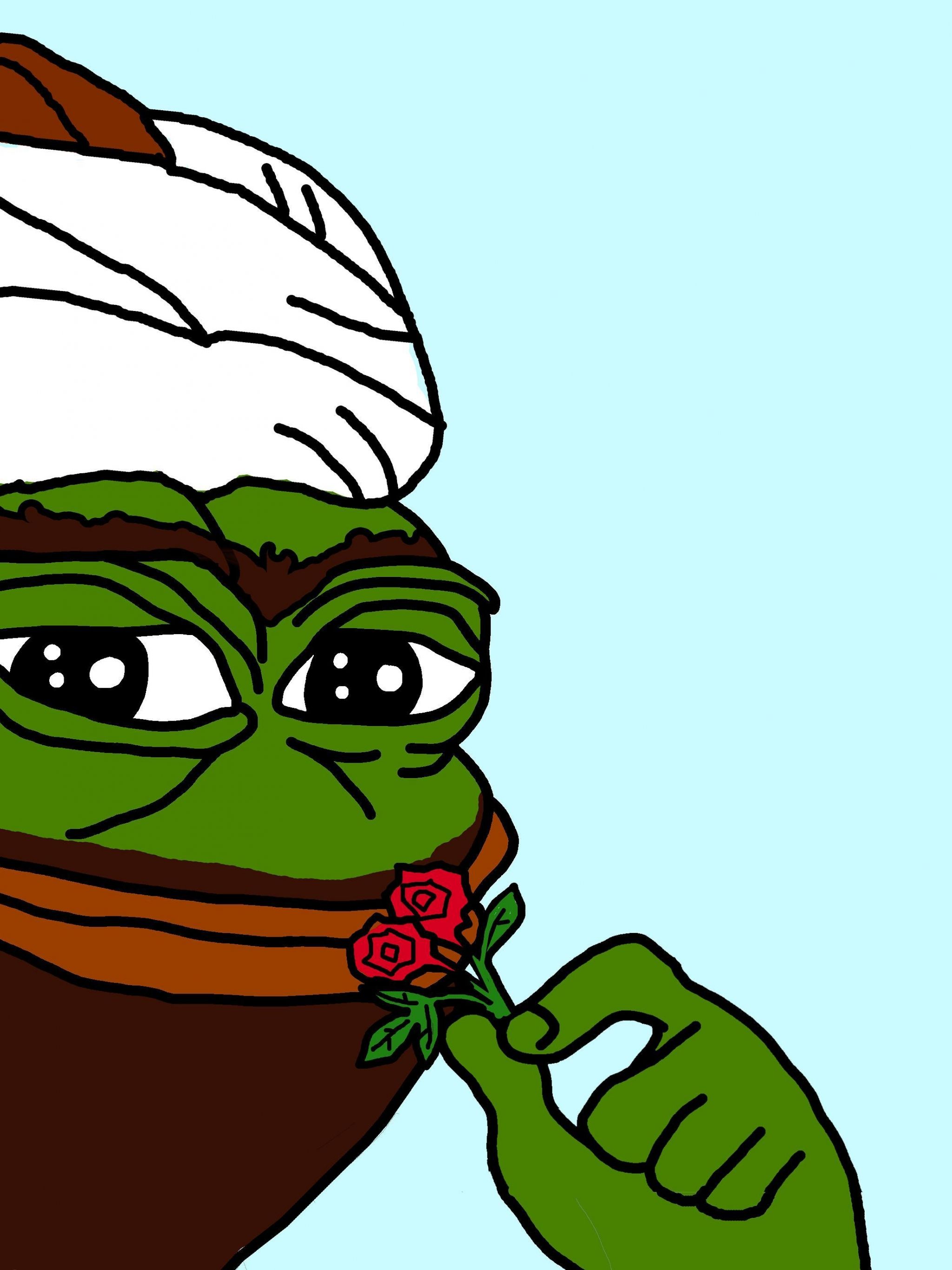 Rare Pepe For The Frog Turkish Wallpaper & Background Download