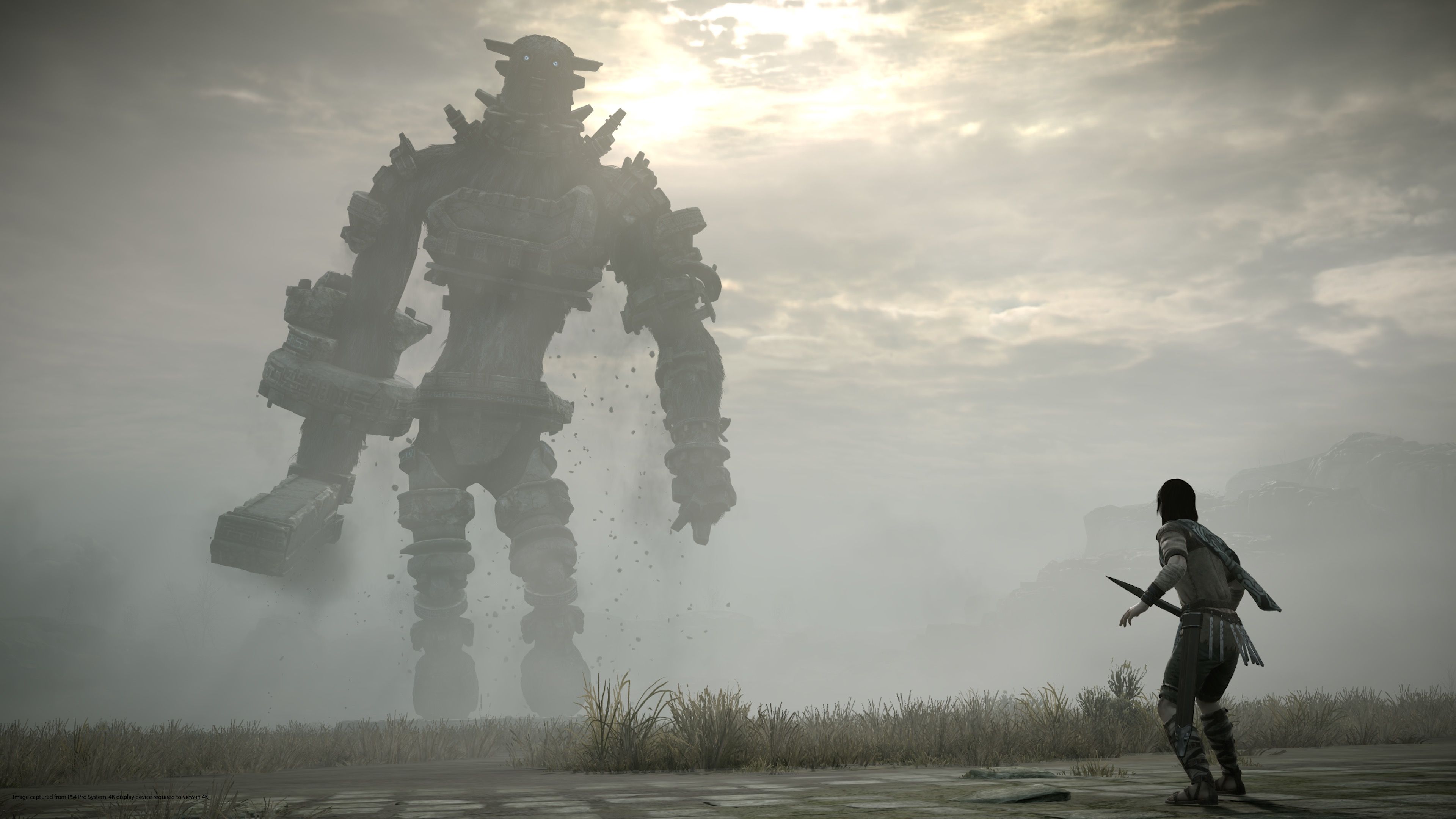 PSX 2017 Shadow Of The Colossus Collectors Edition PS4 Pro 2048x1152 Resolution HD 4k Wallpaper, Image, Background, Photo and Picture
