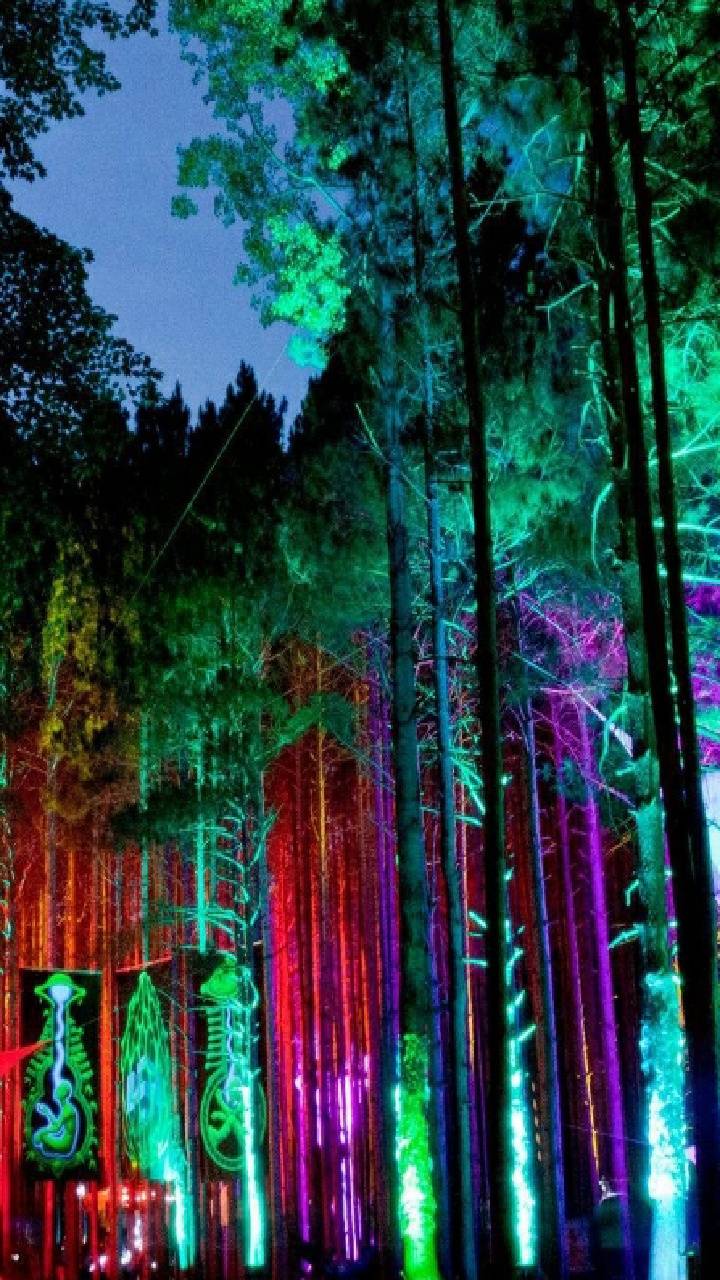 Neon Forest wallpaper