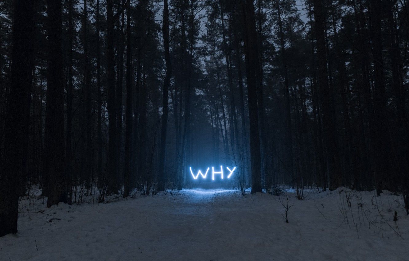 Wallpaper forest, why, neon image for desktop, section пейзажи