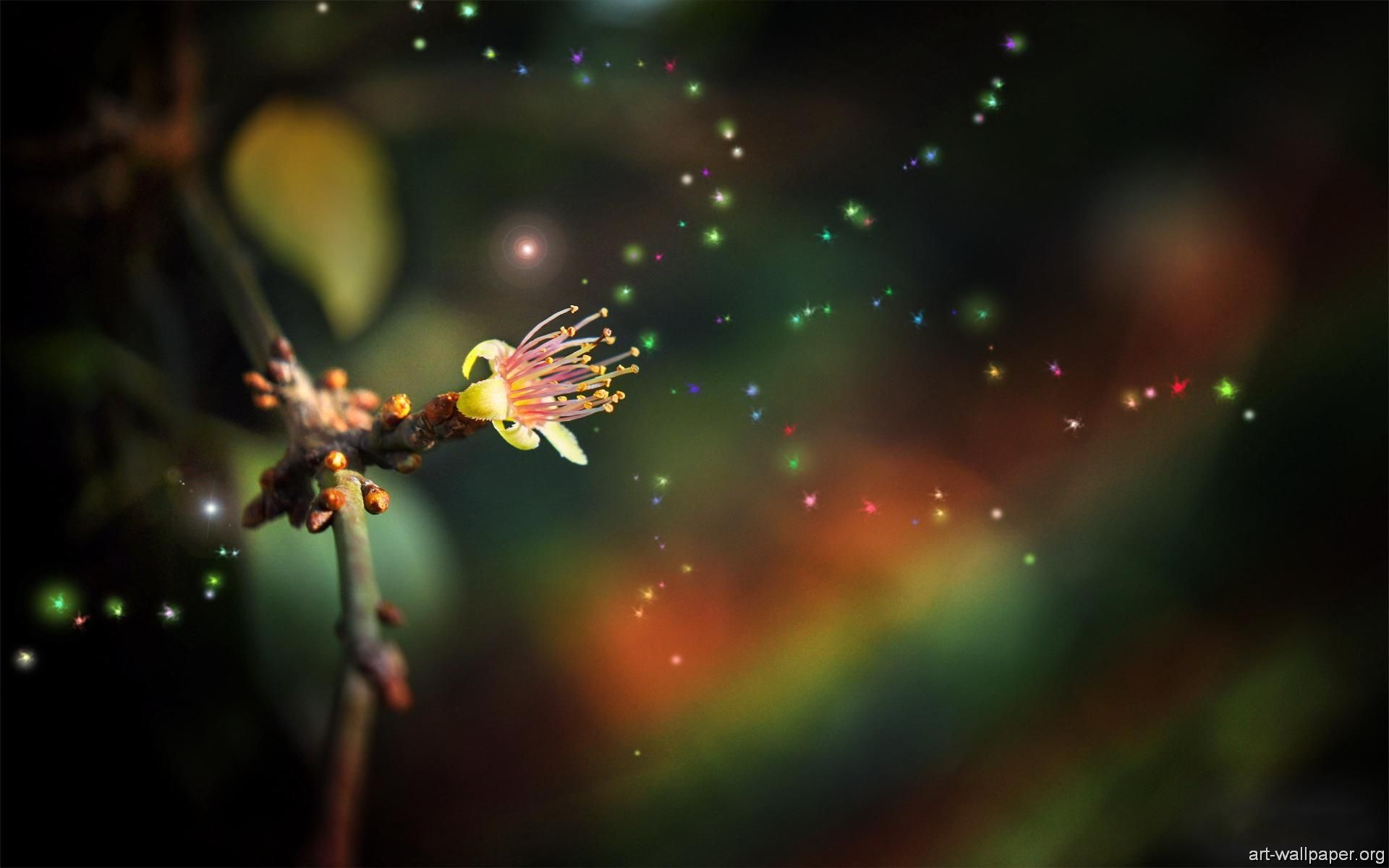 Photography Art Desktop Wallpapers Wallpaper Cave