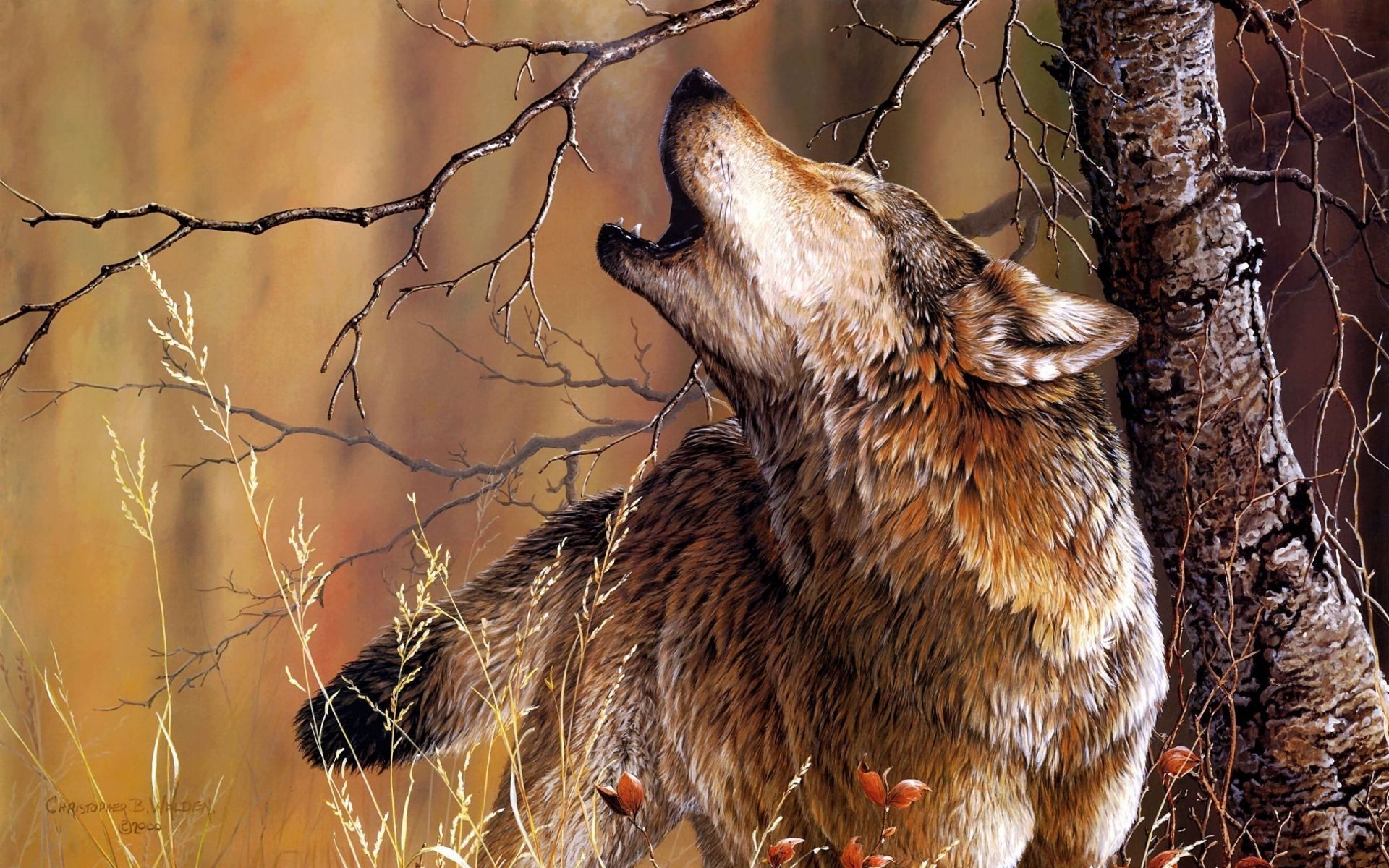 Animals wolves wolf artistic paintings howl nature trees forests wallpaperx1200