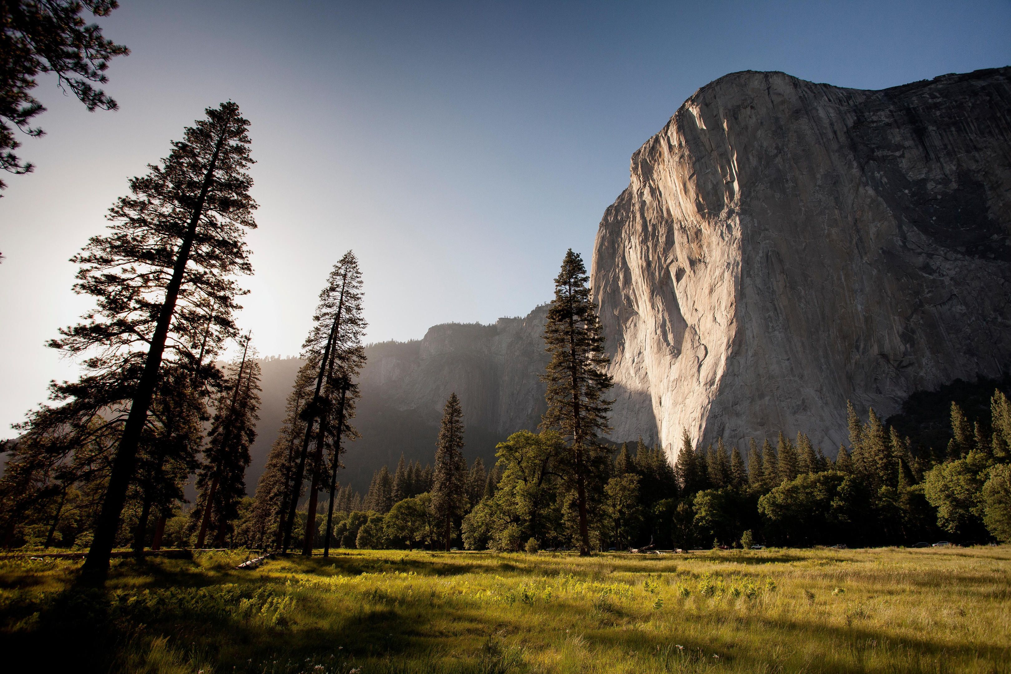 mountains, Landscape, Forest, Nature, Trees, Grass, Clear sky, Yosemite National Park, El Capitan Wallpaper HD / Desktop and Mobile Background