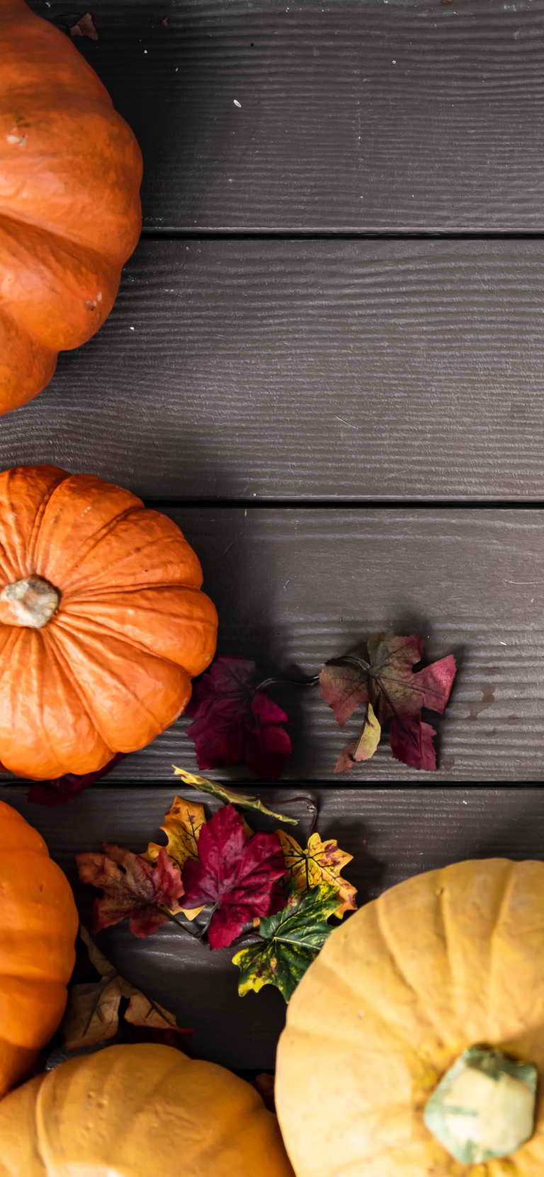 Pumpkin wallpaper for iPhone: download them now!. Pumpkin wallpaper, Halloween wallpaper iphone, Fall wallpaper